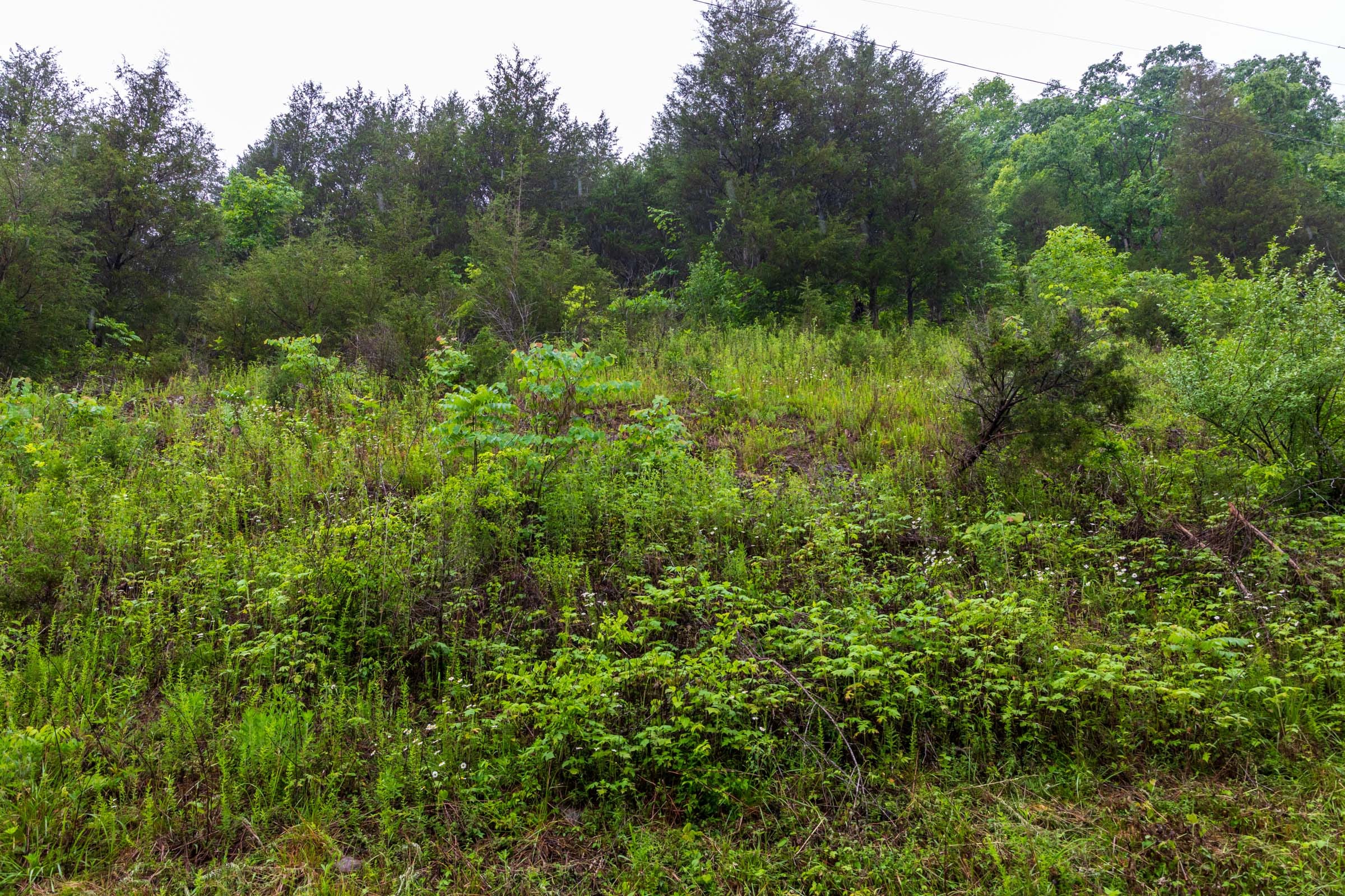 Bluffview Tract 13 photo 4
