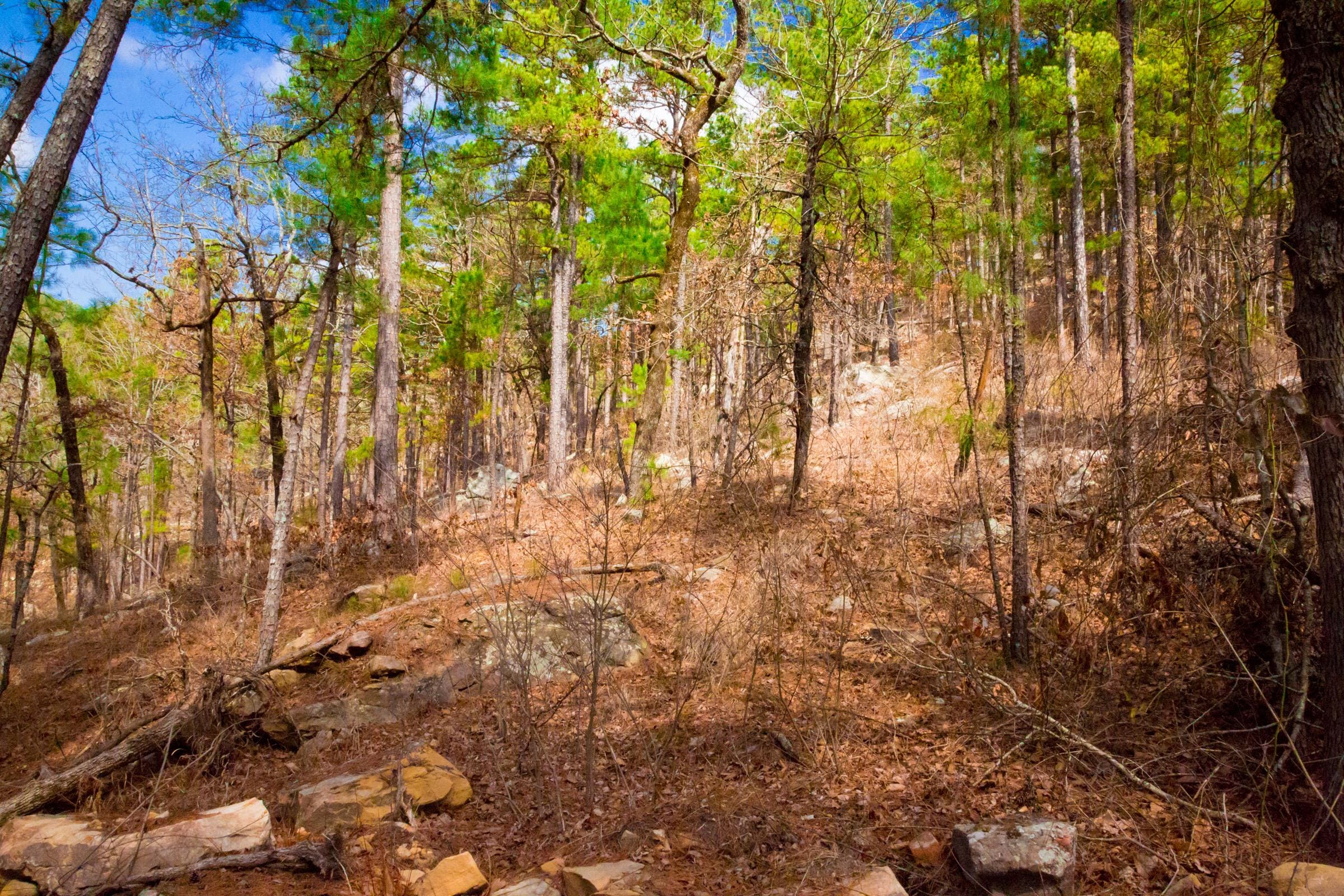 Stone Creek Phase II Tract 94 photo 4