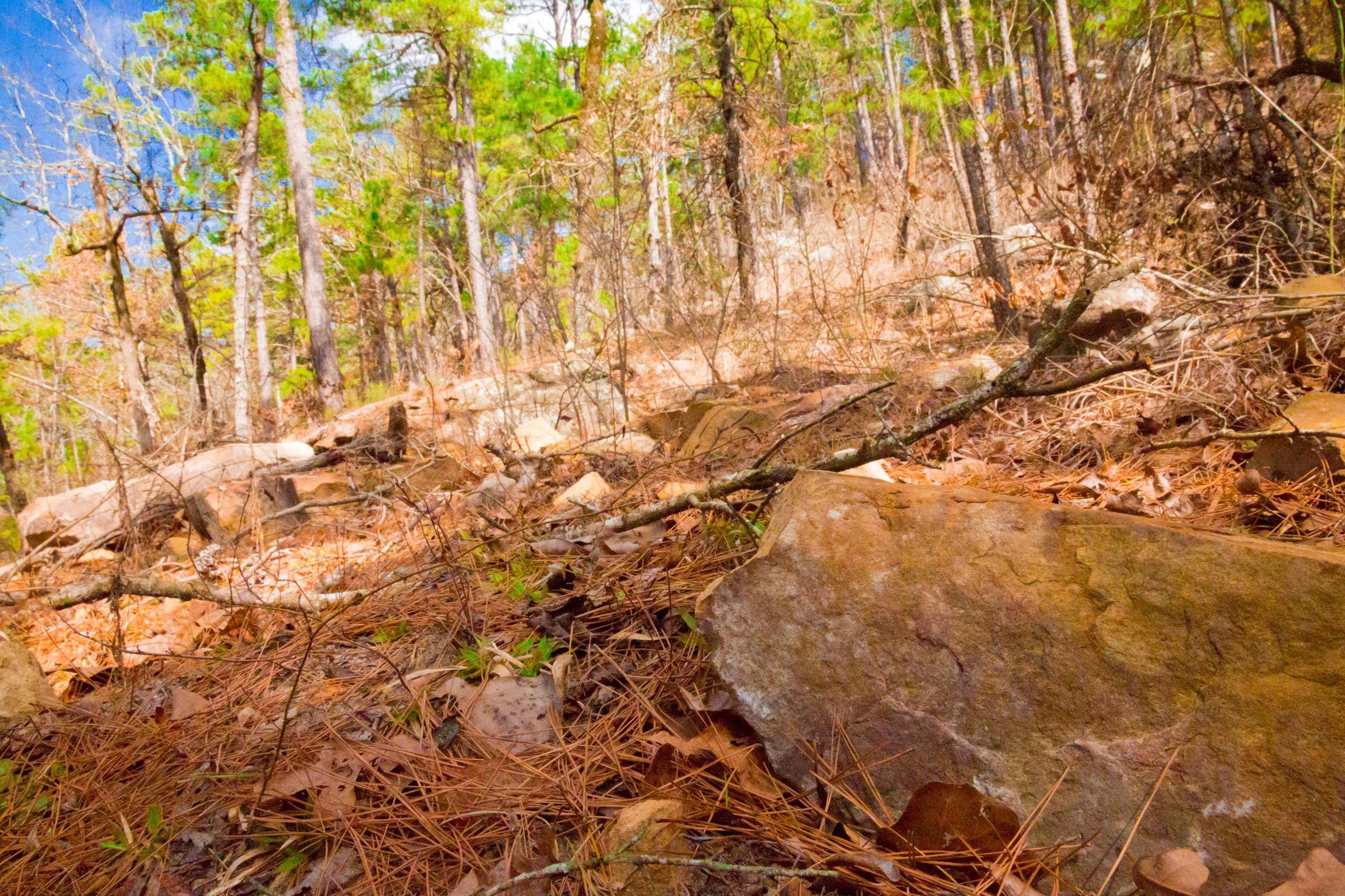 Stone Creek Phase II Tract 94 photo 5