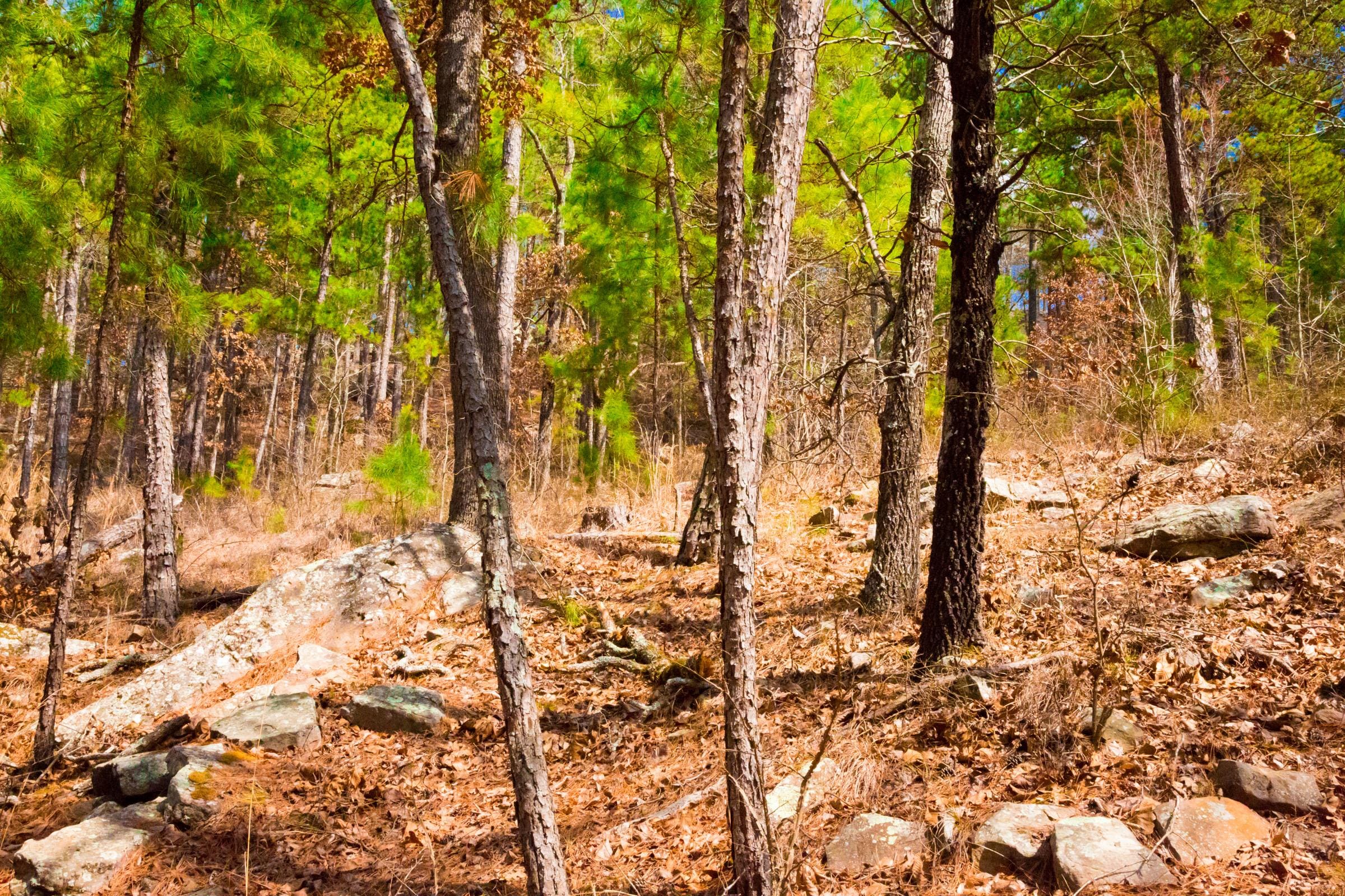 Stone Creek Phase II Tract 94 photo 8