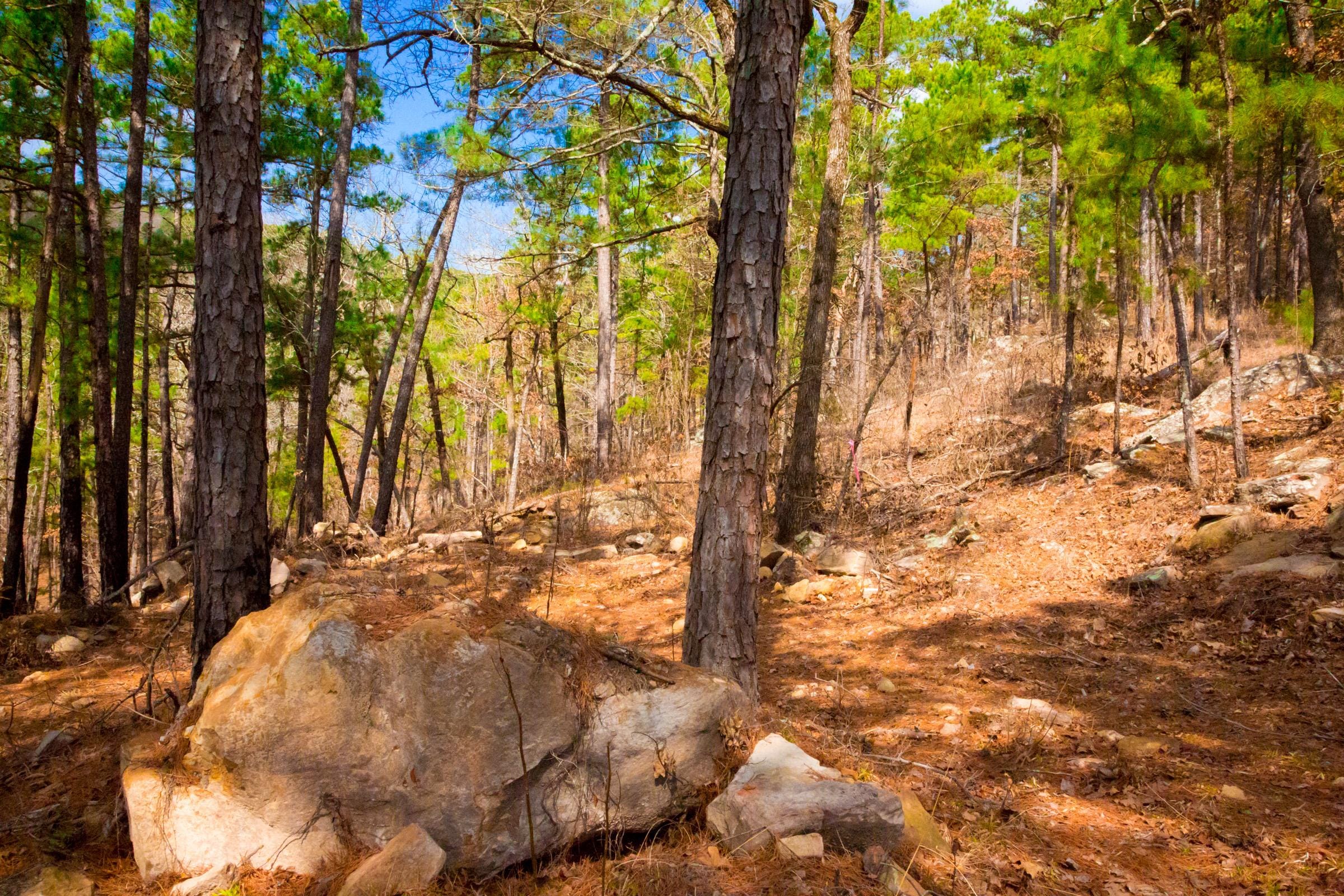 Stone Creek Phase II Tract 94 photo 9