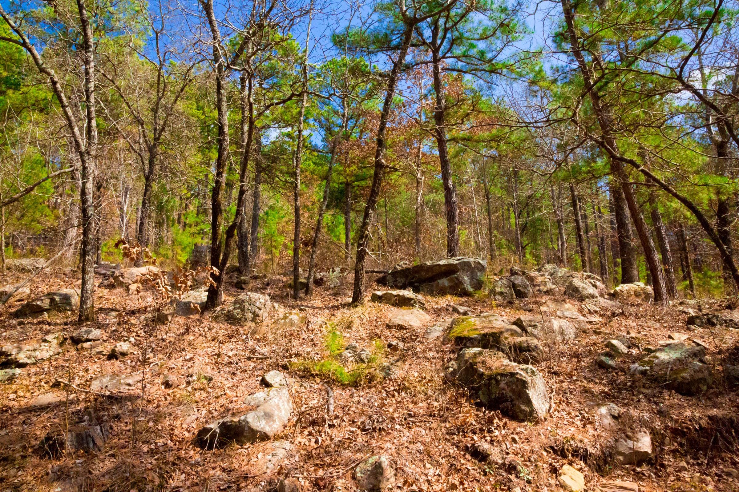 Stone Creek Phase II Tract 94 photo 10