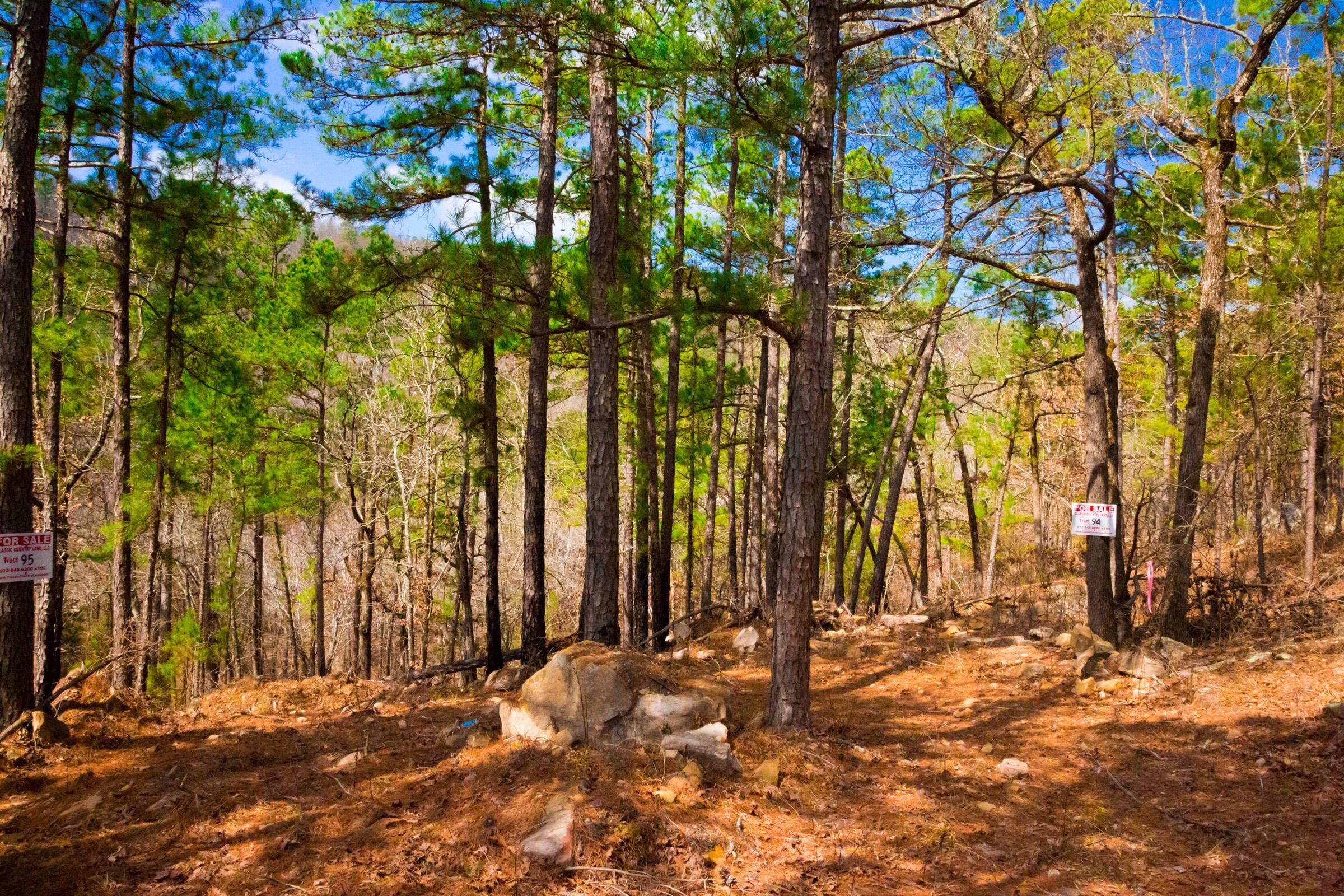 Stone Creek Phase II Tract 94 photo 11