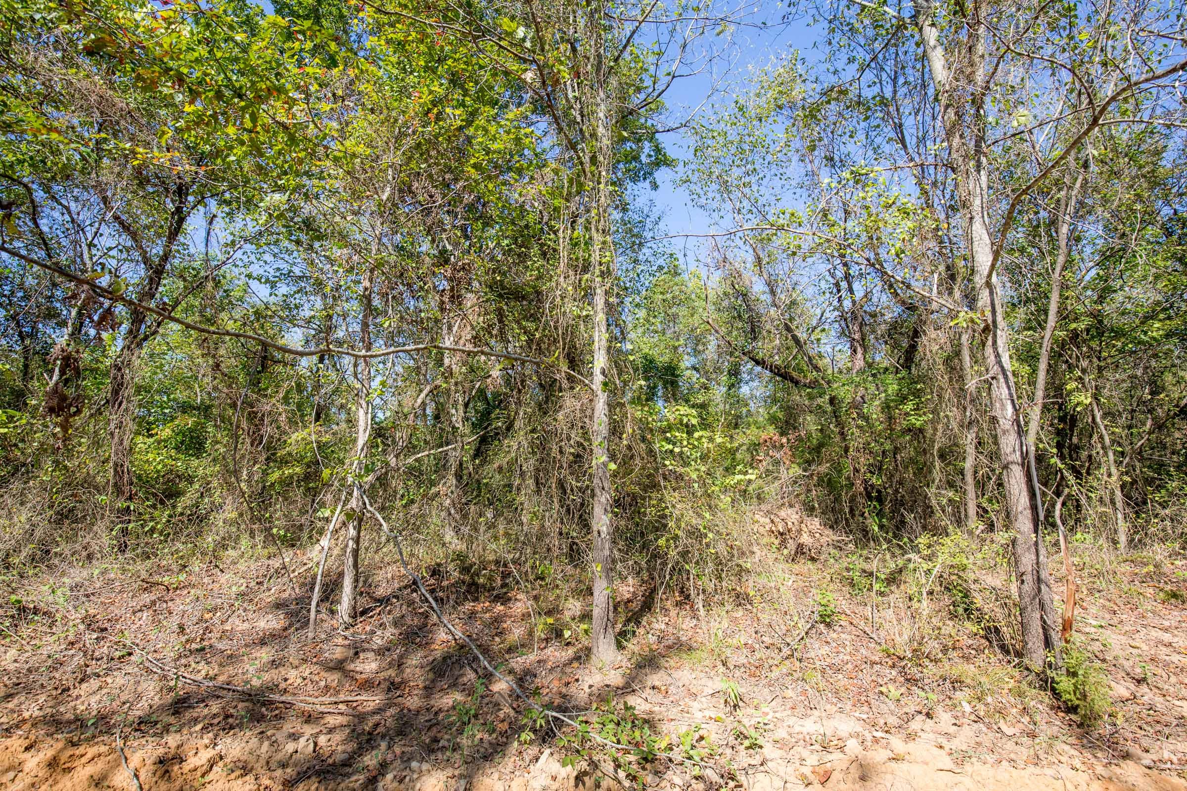 Stone Bridge Phase I Tract 29 photo 7
