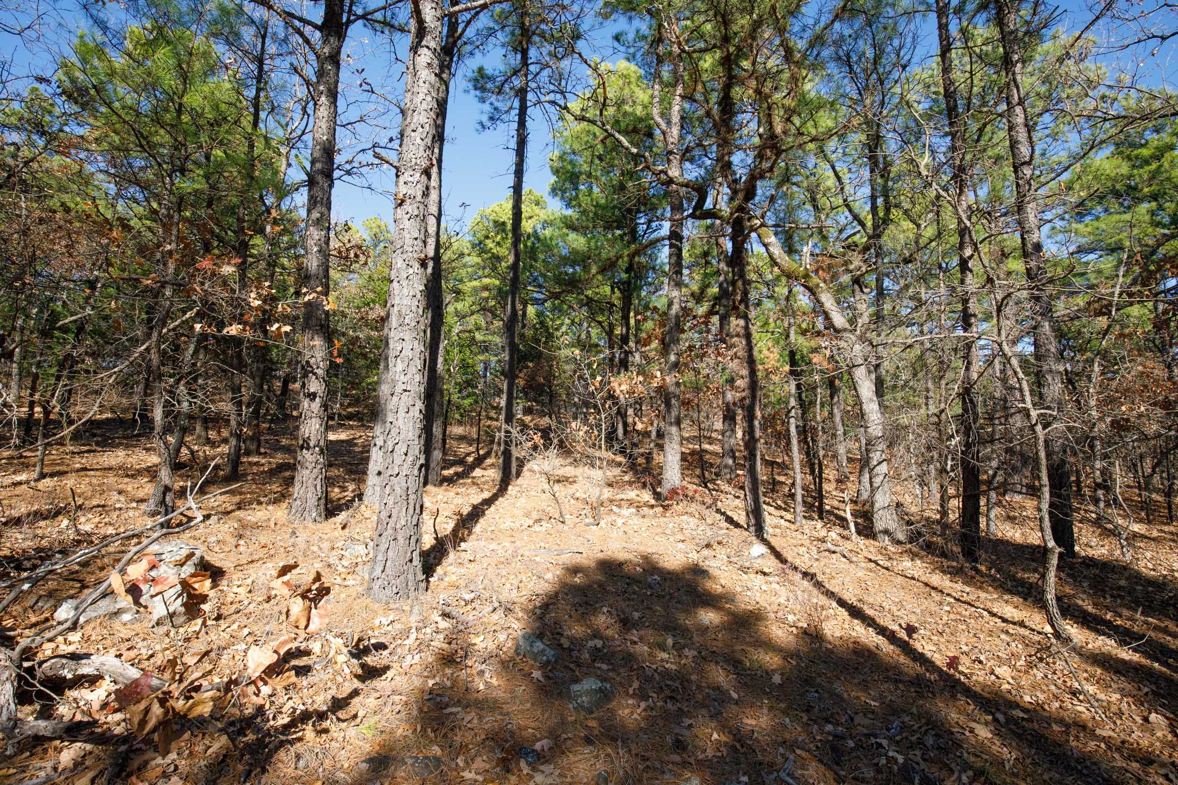 Stone Bridge Phase II Tract 97 photo 3
