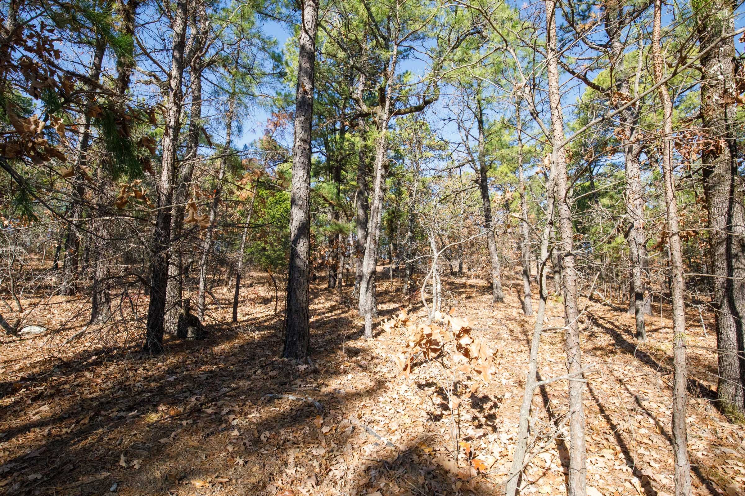 Stone Bridge Phase II Tract 97 photo 4