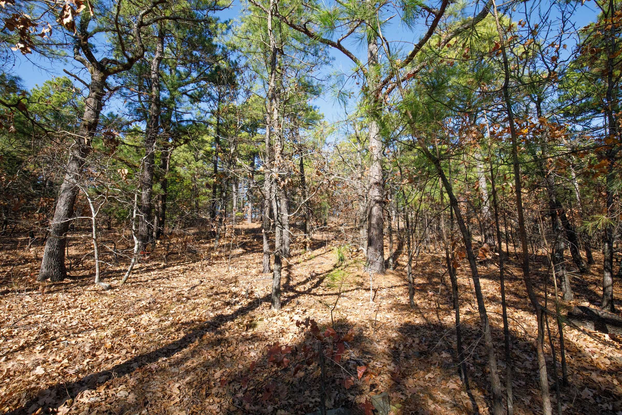 Stone Bridge Phase II Tract 97 photo 5