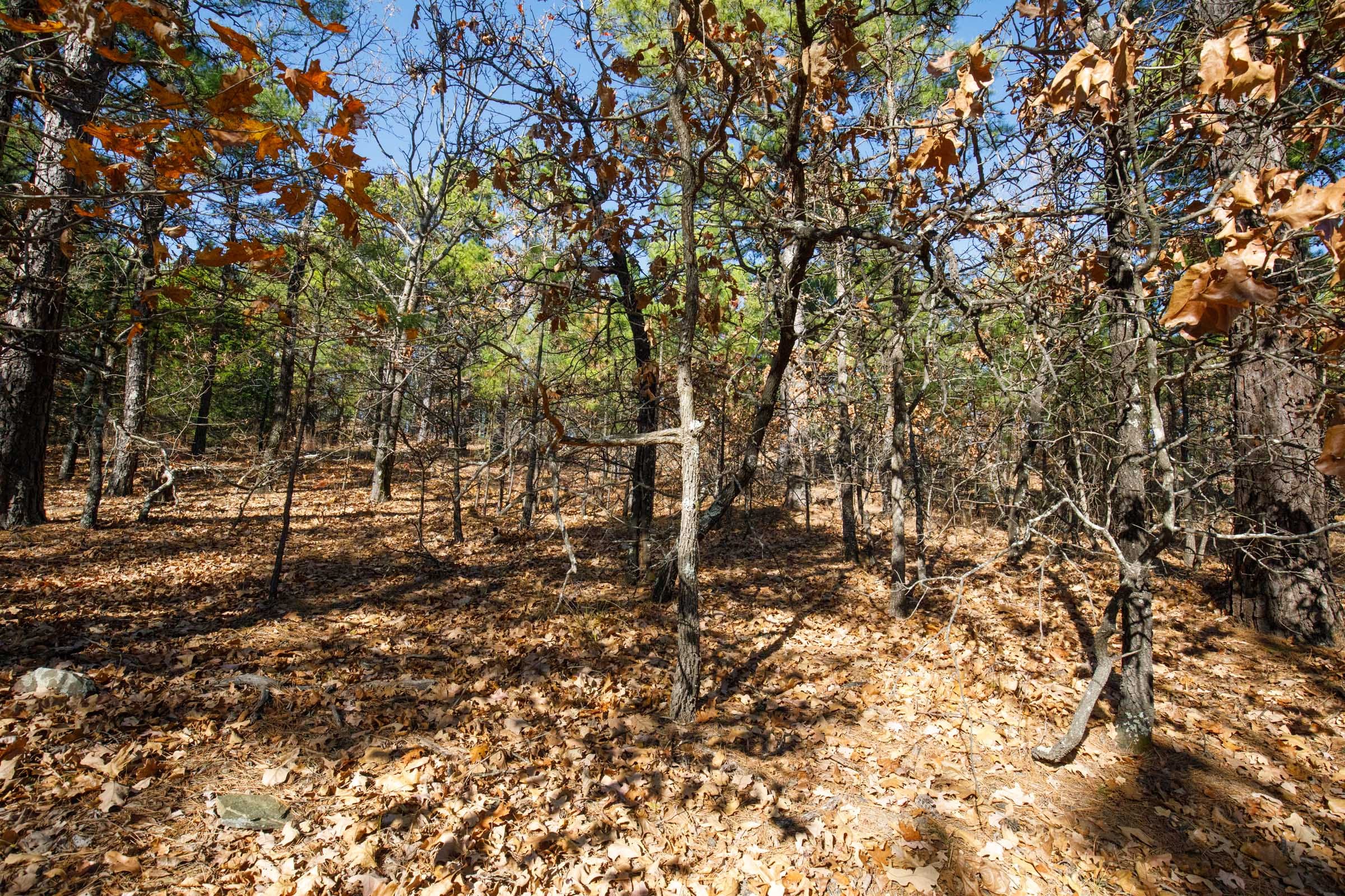 Stone Bridge Phase II Tract 97 photo 6