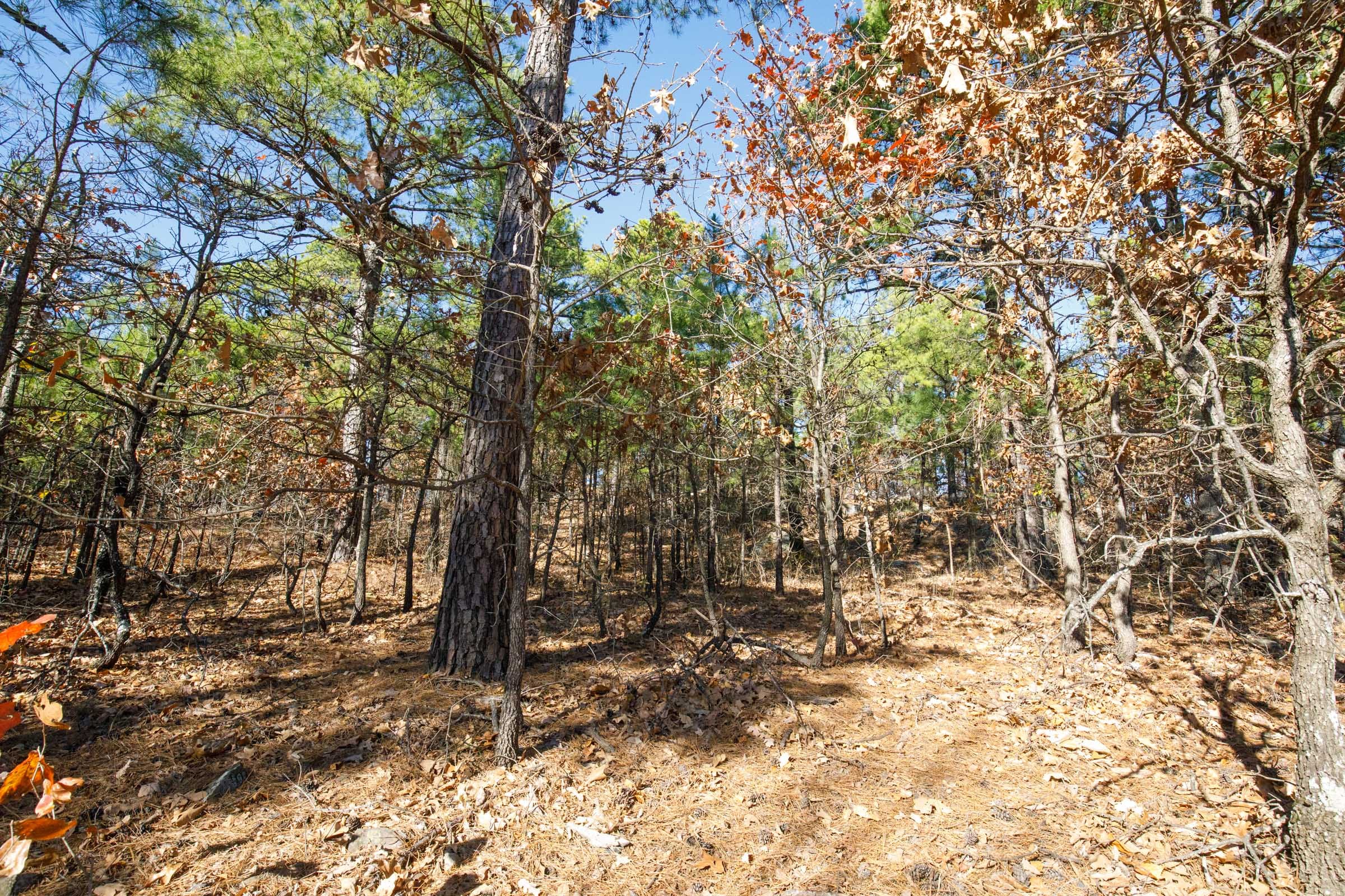 Stone Bridge Phase II Tract 97 photo 7
