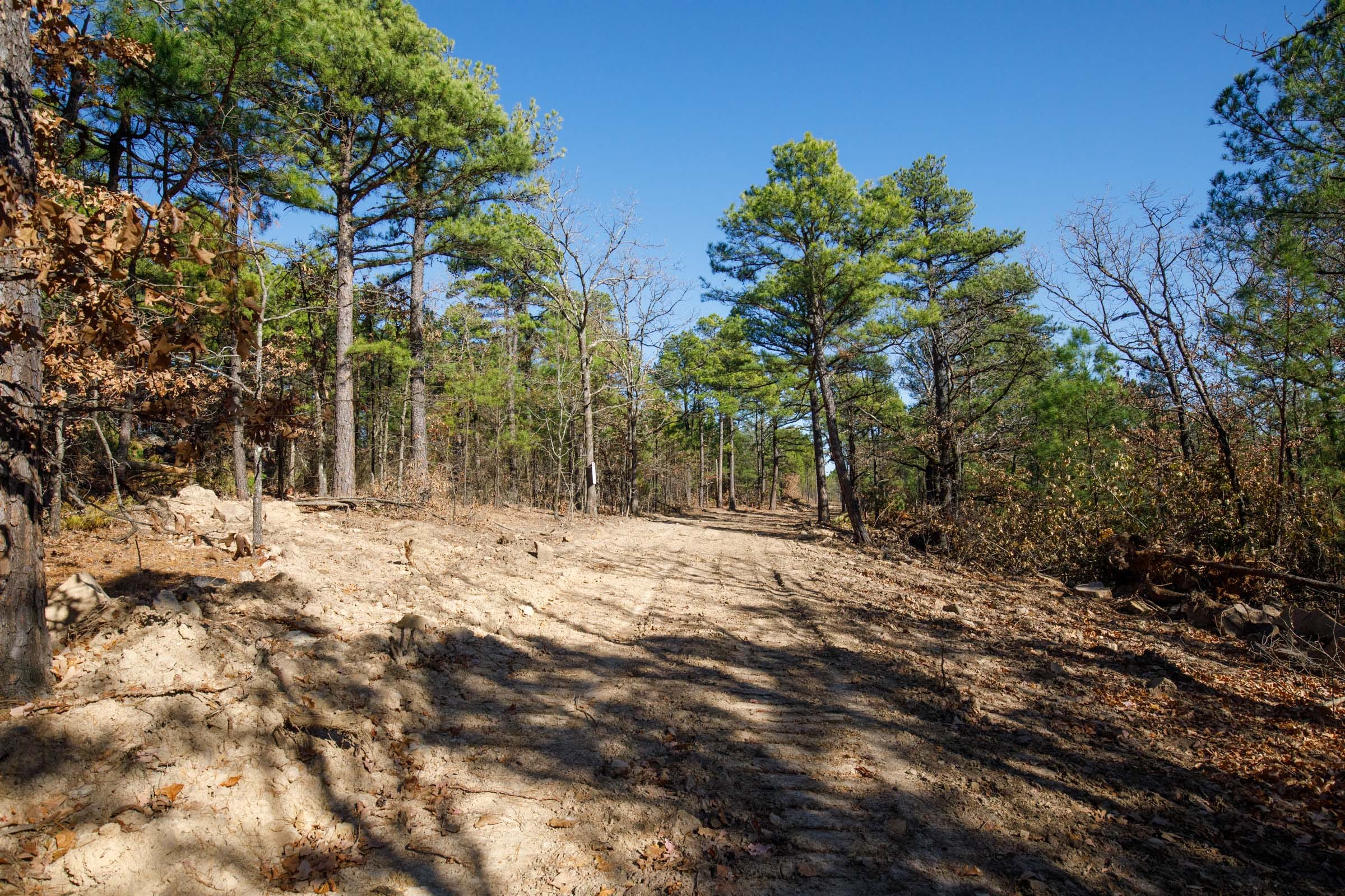 Stone Bridge Phase II Tract 97 photo 8