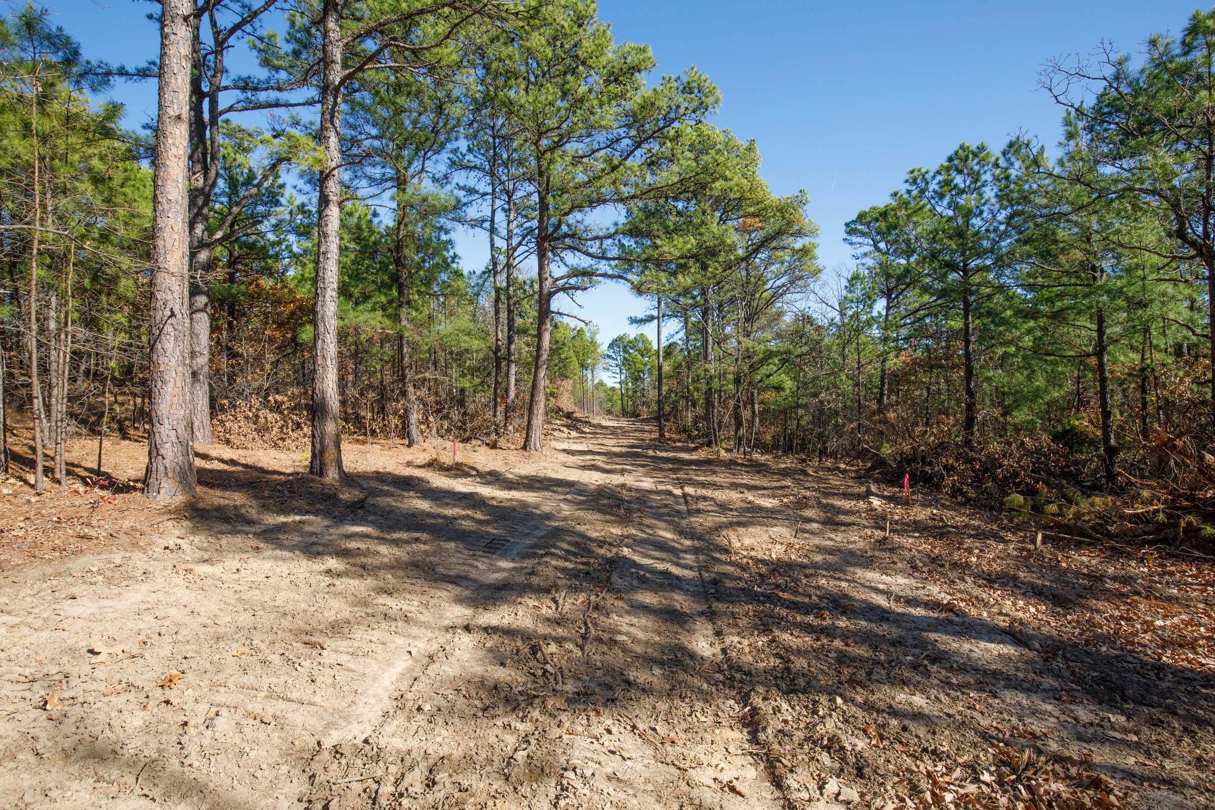 Stone Bridge Phase II Tract 97 photo 1