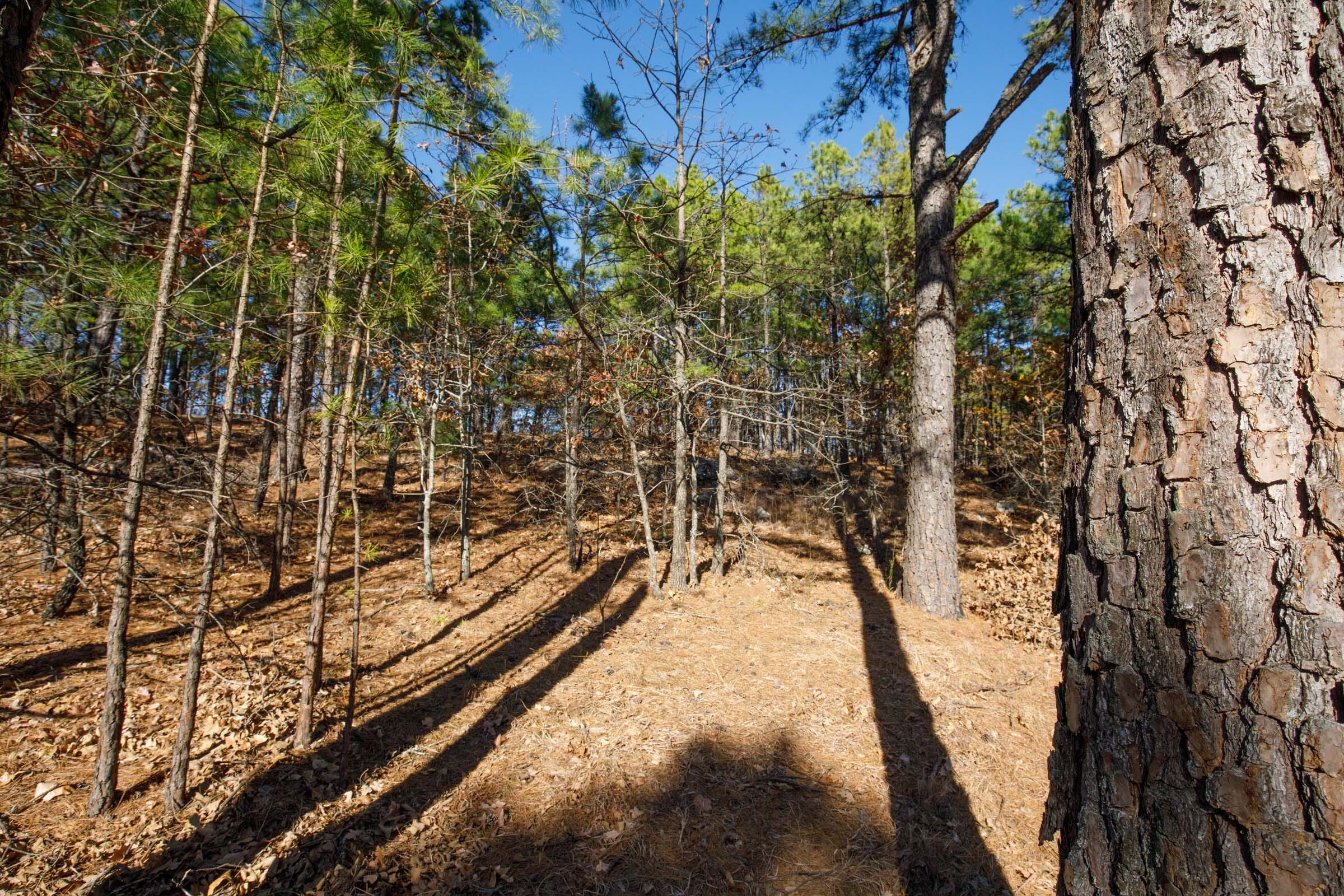 Stone Bridge Phase II Tract 97 photo 10