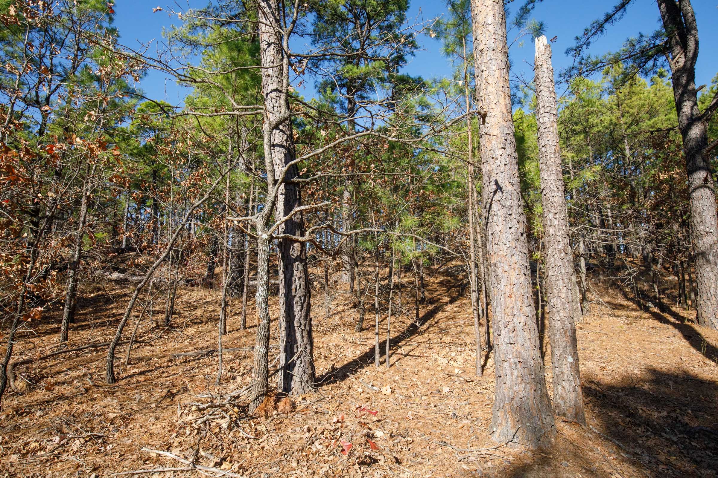 Stone Bridge Phase II Tract 97 photo 11