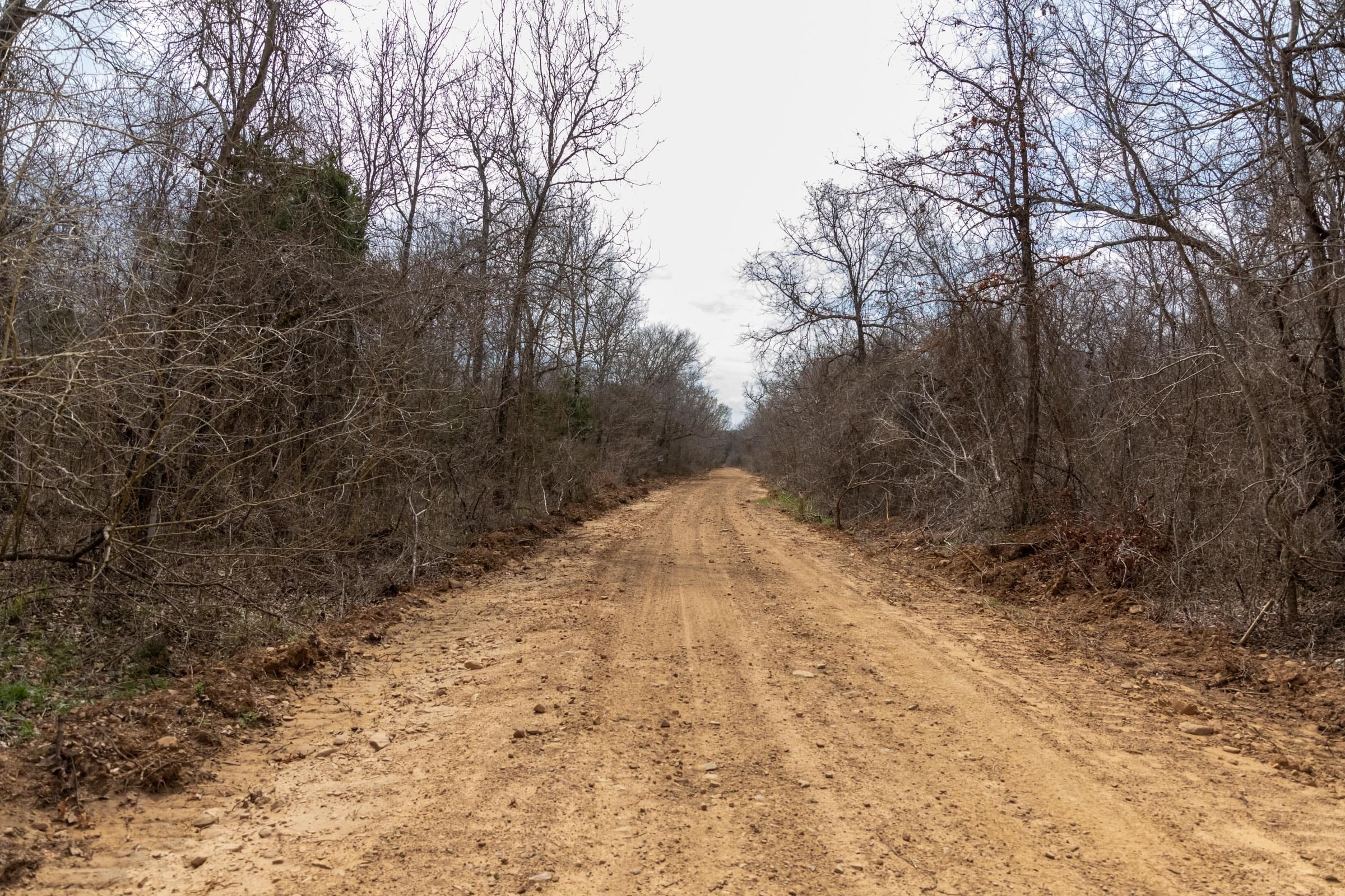 Stone Bridge Phase III Tract 164 photo 5