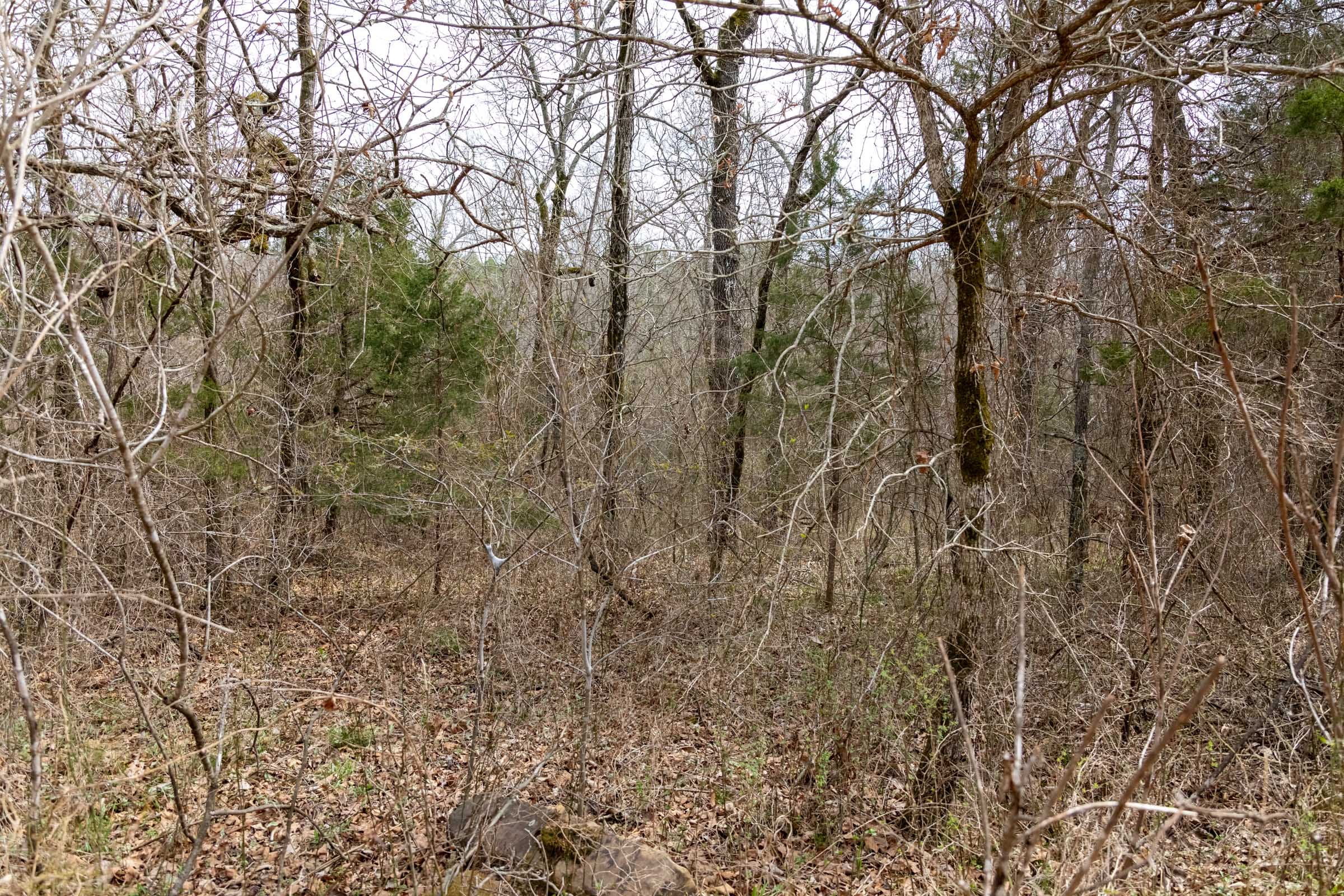 Stone Bridge Phase III Tract 164 photo 3
