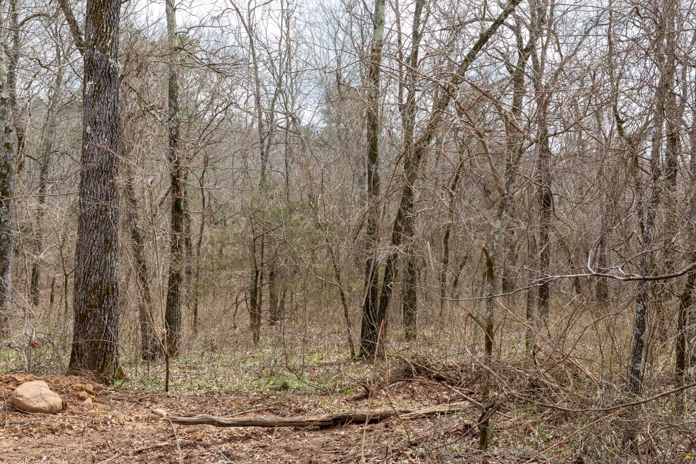 Stone Bridge Phase III Tract 164 photo 6