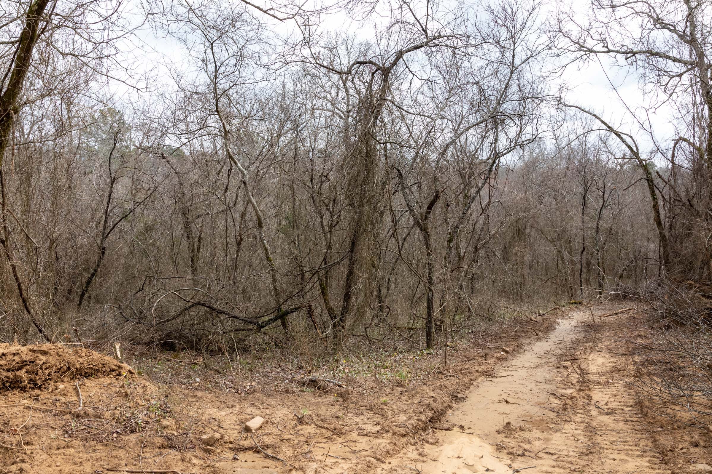Stone Bridge Phase III Tract 164 photo 8