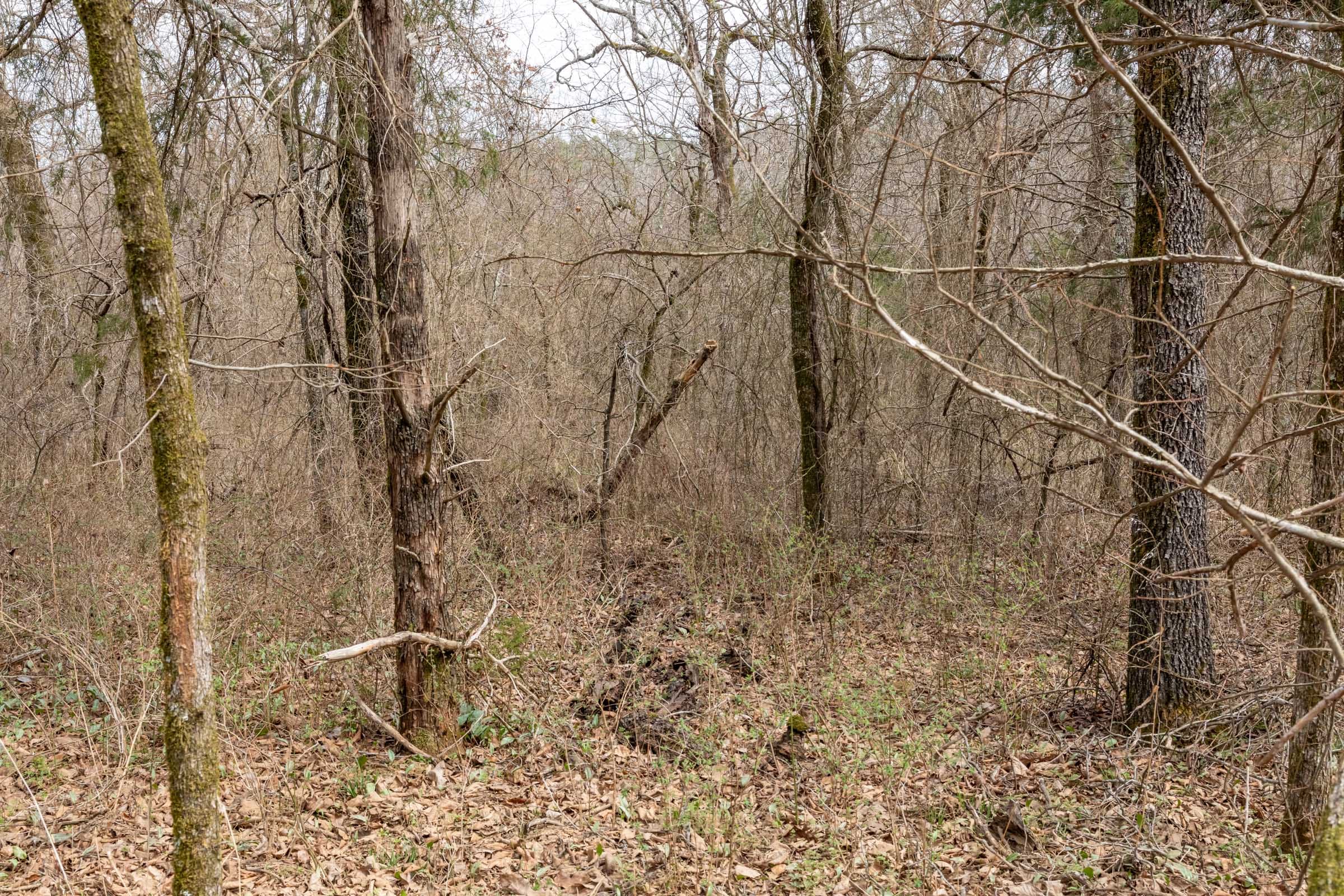 Stone Bridge Phase III Tract 164 photo 11