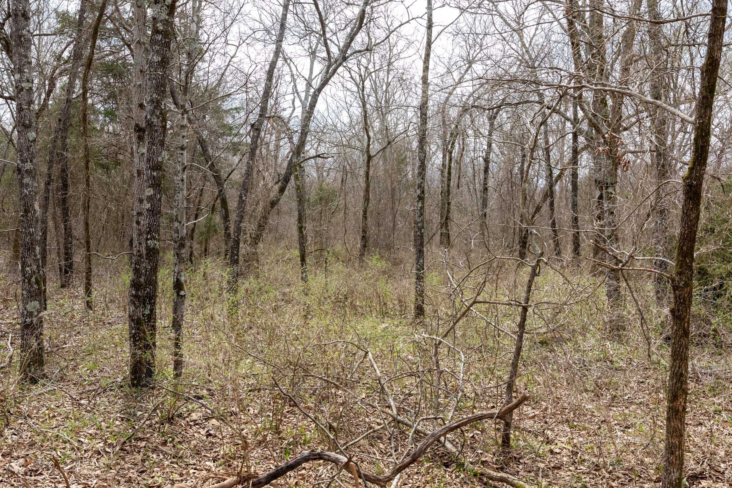 Stone Bridge Phase III Tract 164 photo 12