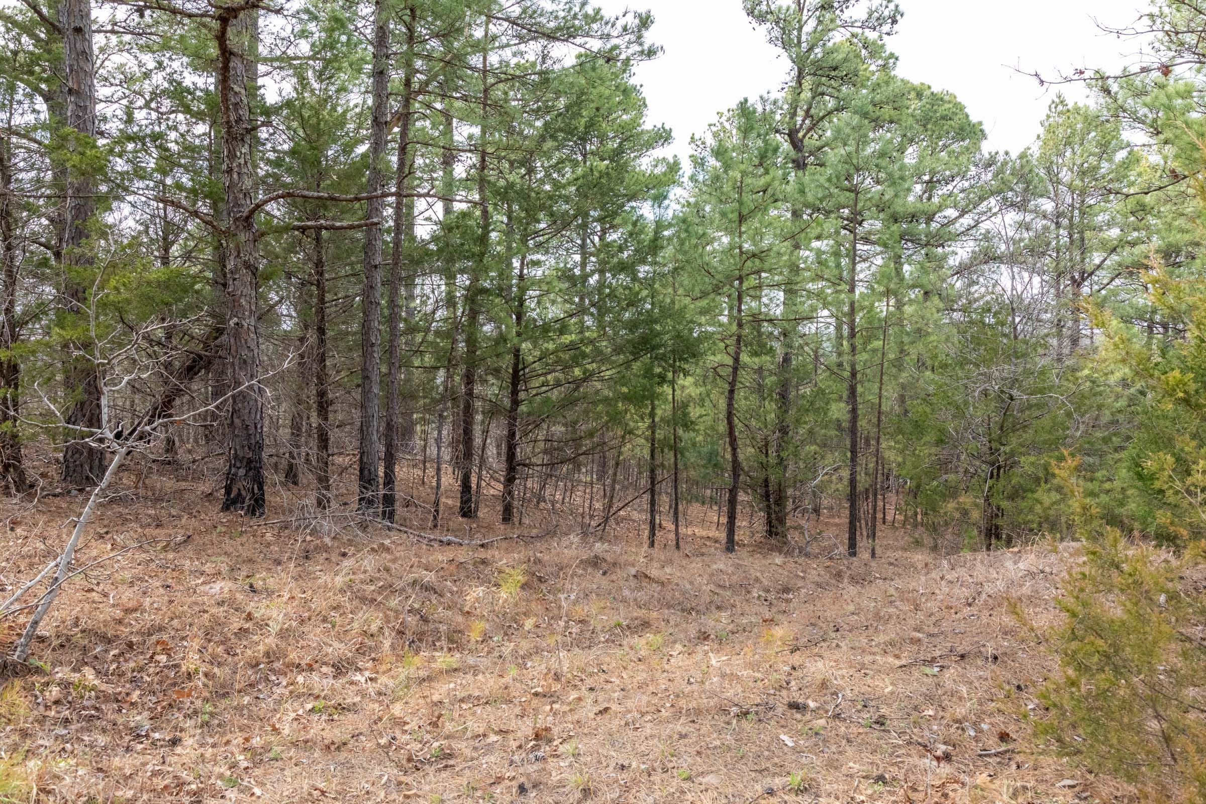 Stone Bridge Phase III Tract 164 photo 15
