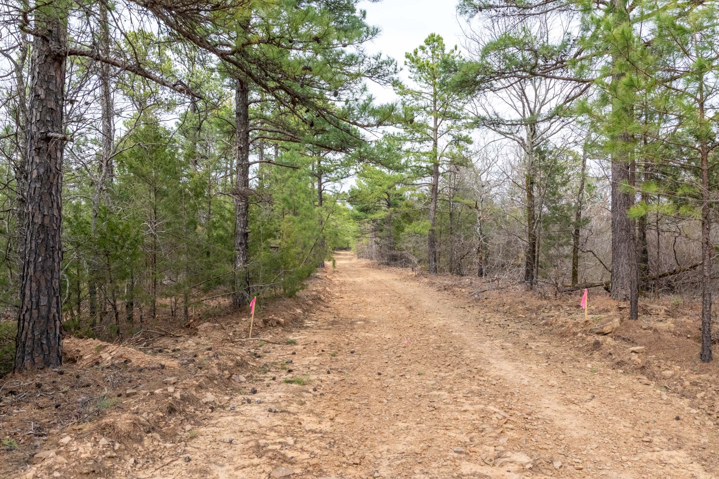 Stone Bridge Phase III Tract 164 photo 10