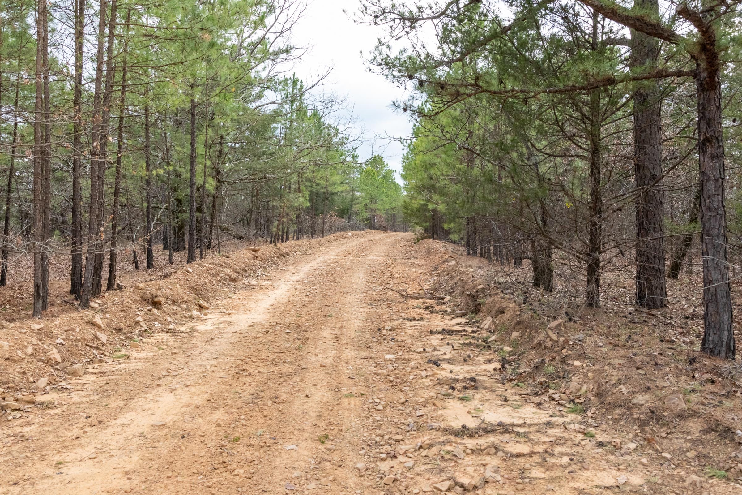Stone Bridge Phase III Tract 164 photo 14