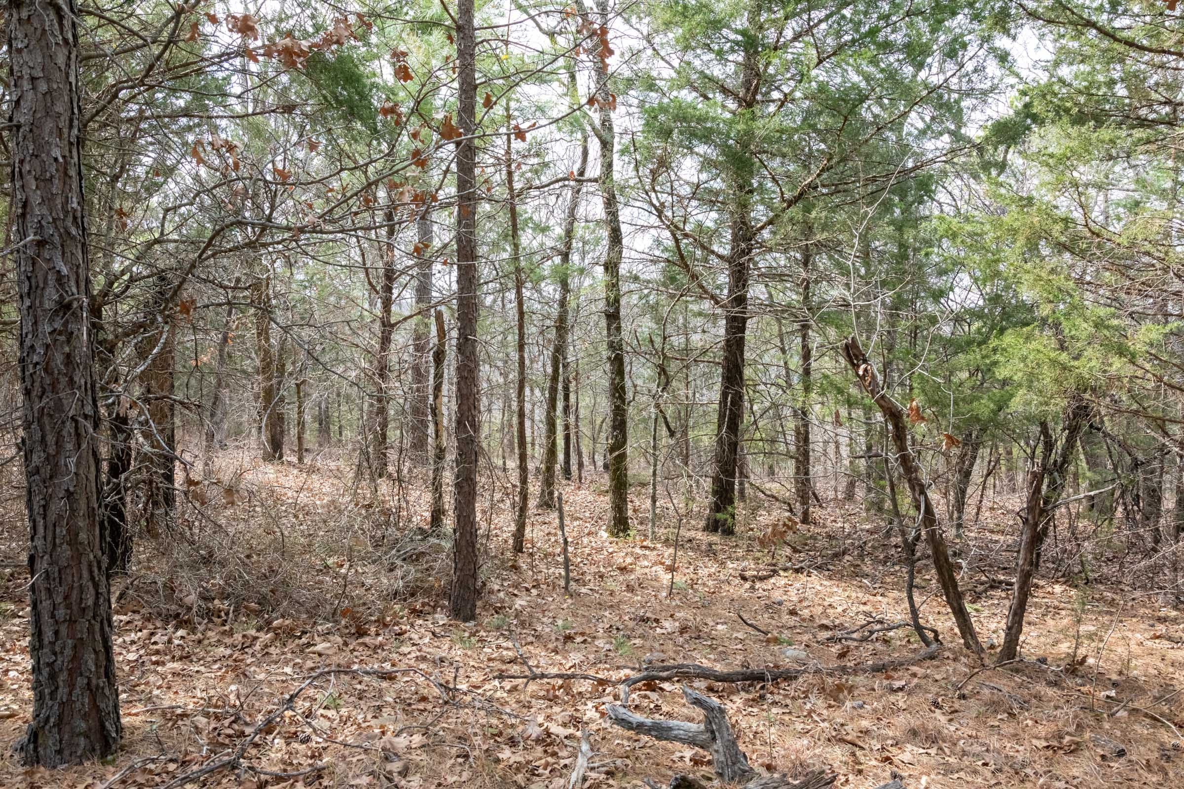 Stone Bridge Phase III Tract 164 photo 16