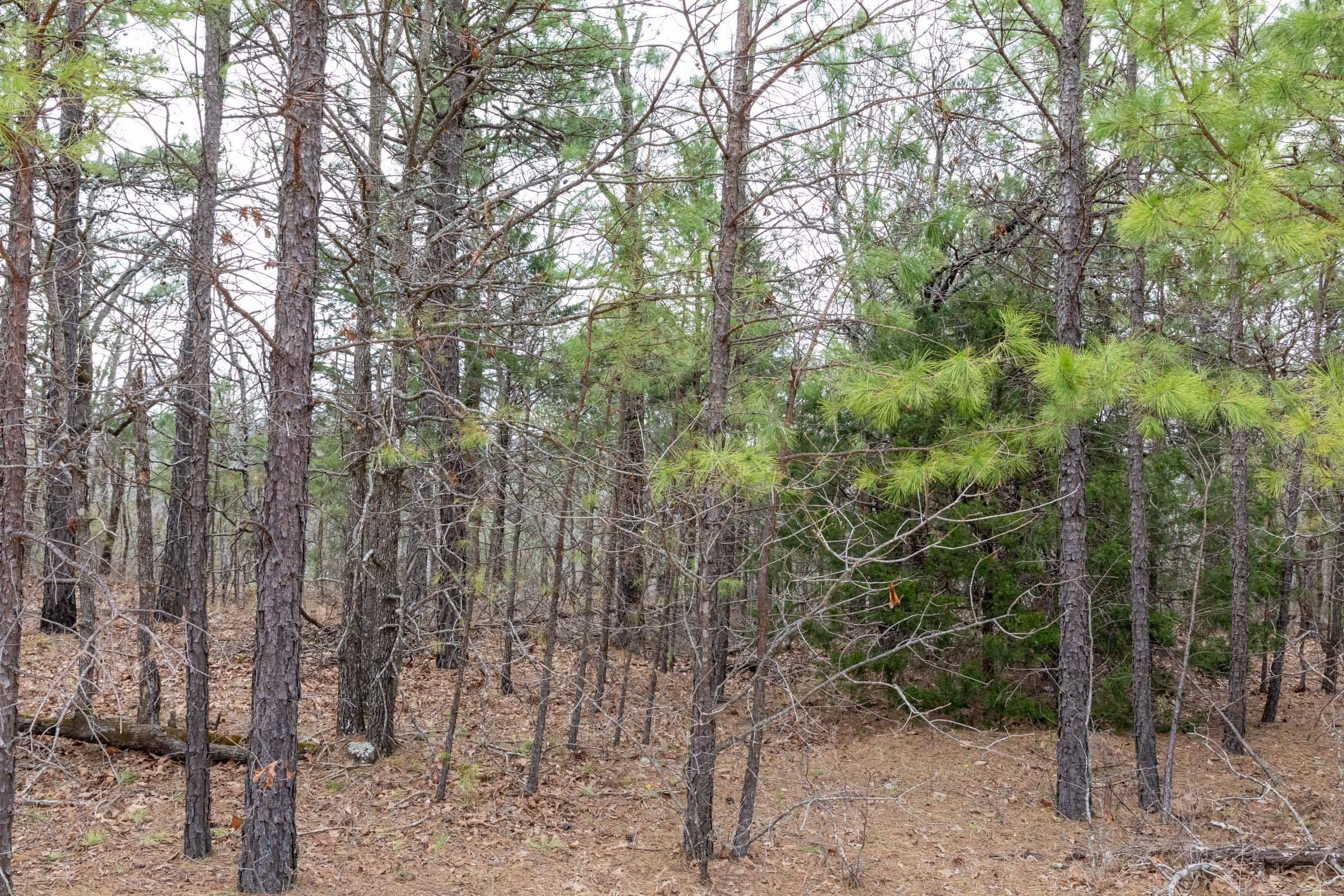 Stone Bridge Phase III Tract 164 photo 18