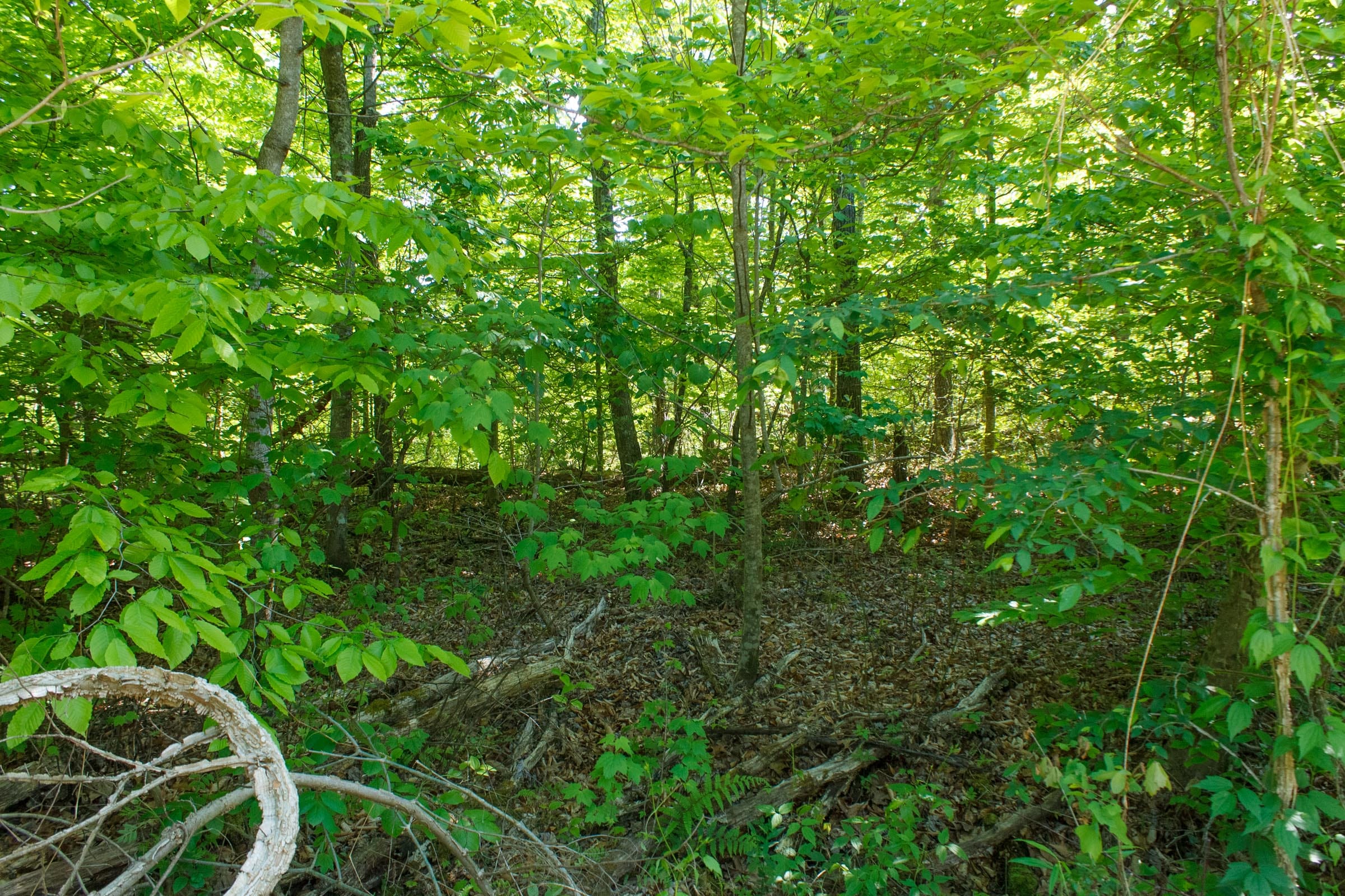 Riverbend Tract 34 photo 1