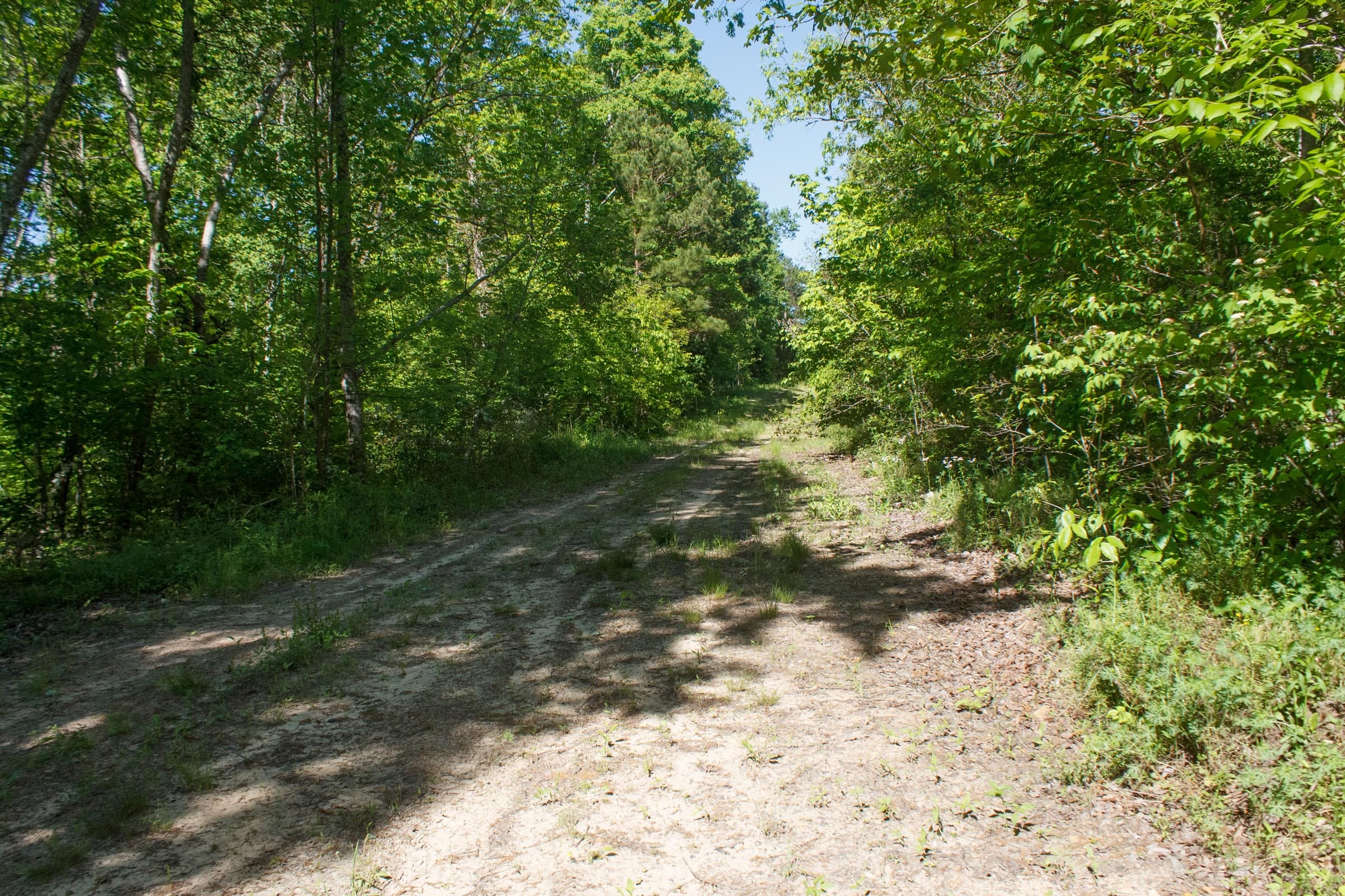 Riverbend Tract 34 photo 5