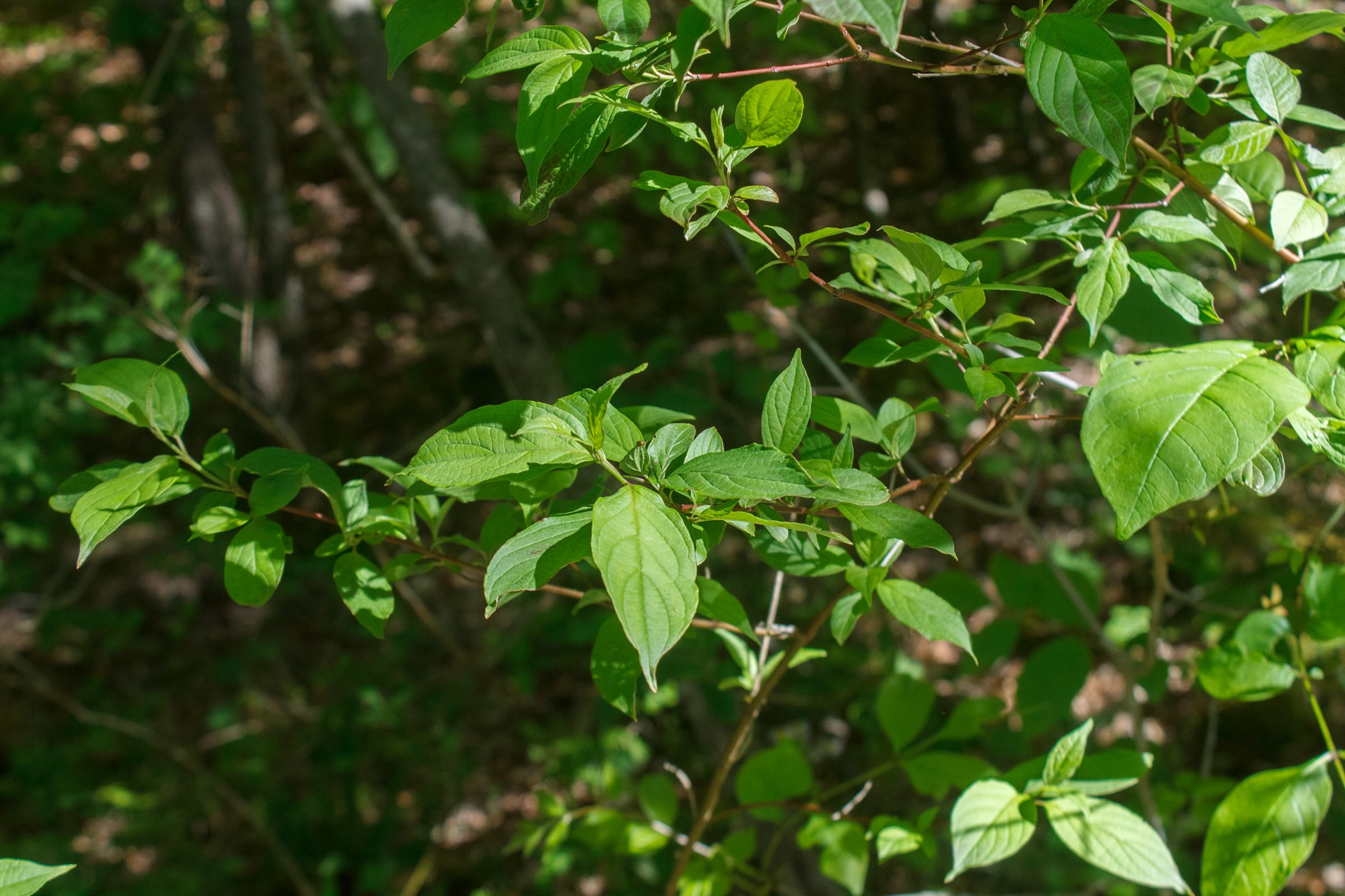 Riverbend Tract 34 photo 7
