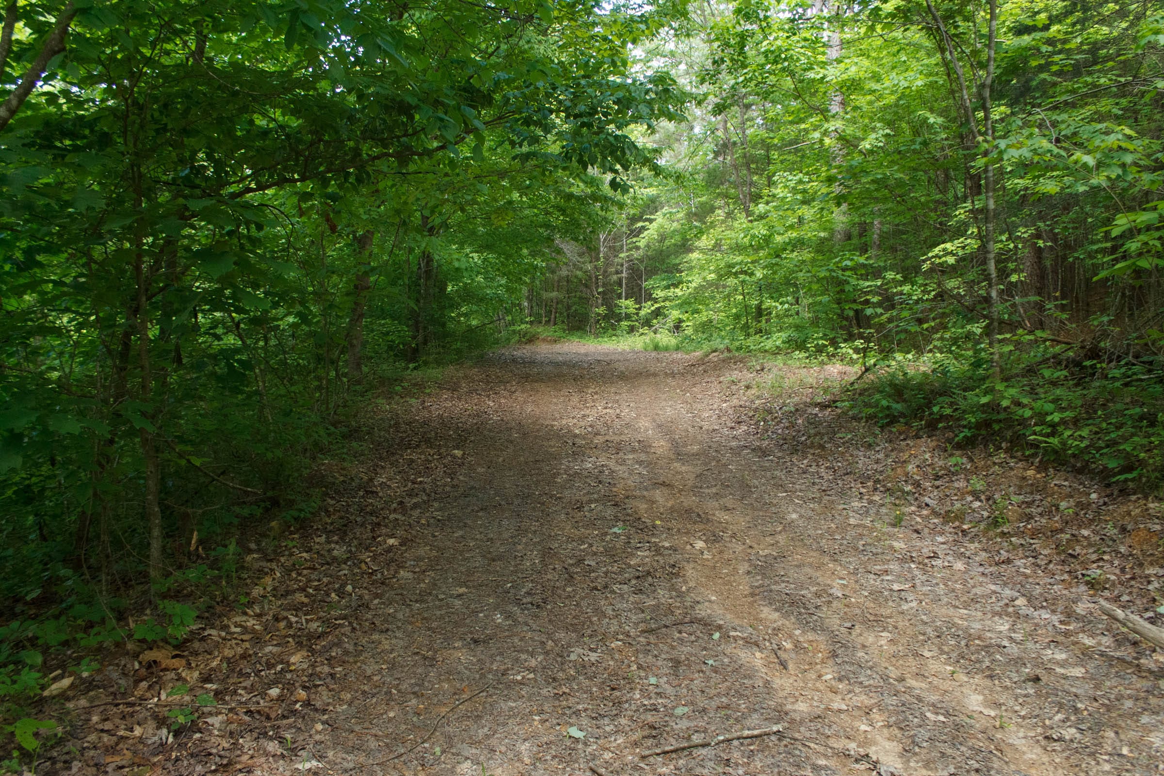 Riverbend Tract 3 photo 1