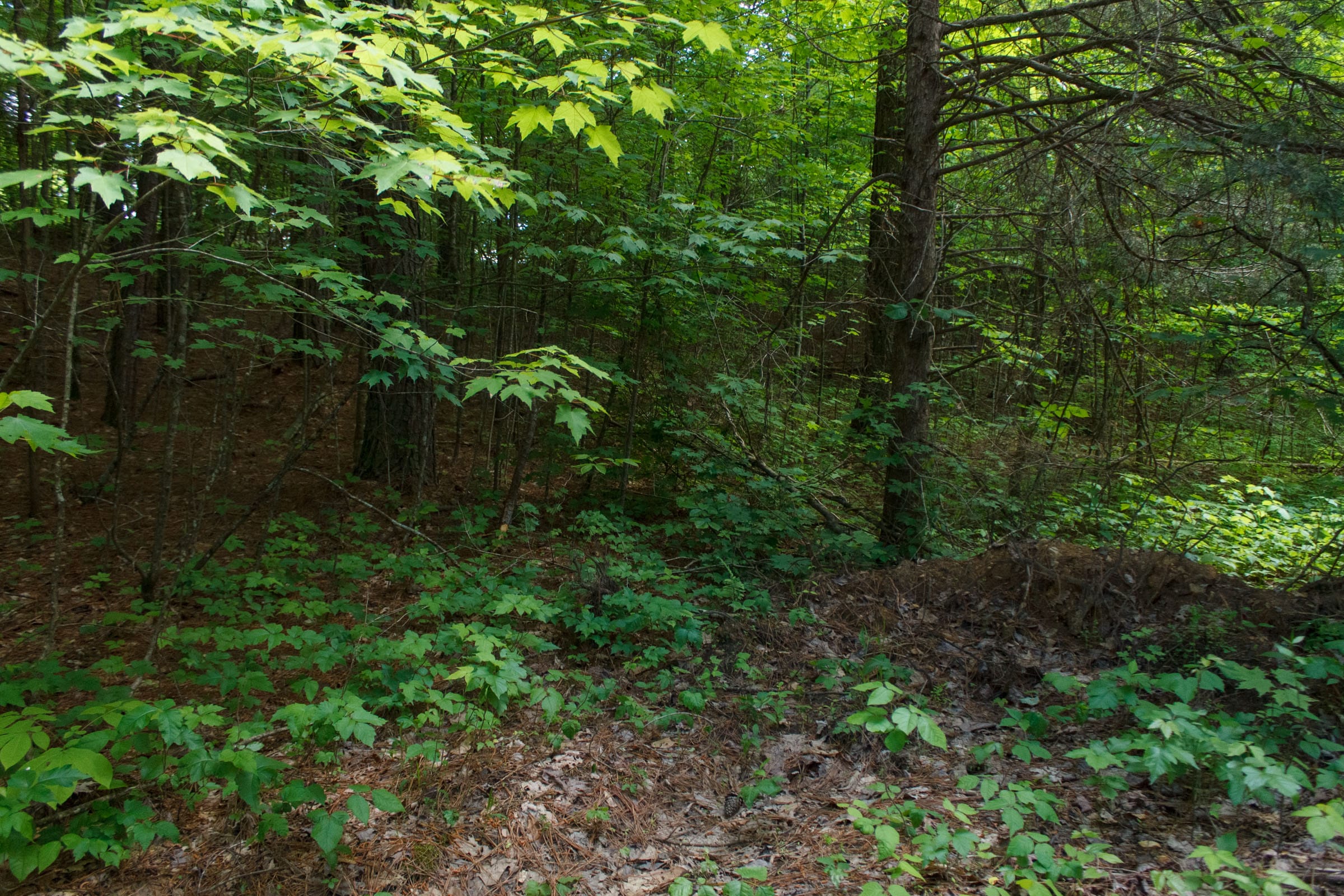 Riverbend Tract 3 photo 2