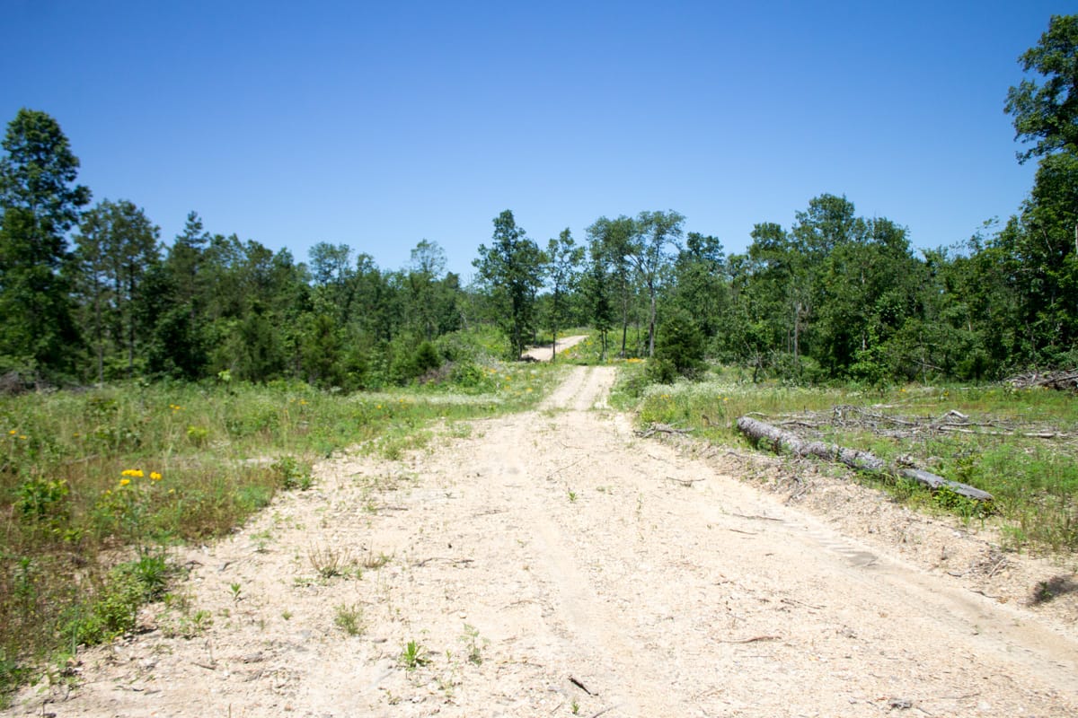 Timber Crossing Tract 19 photo 2