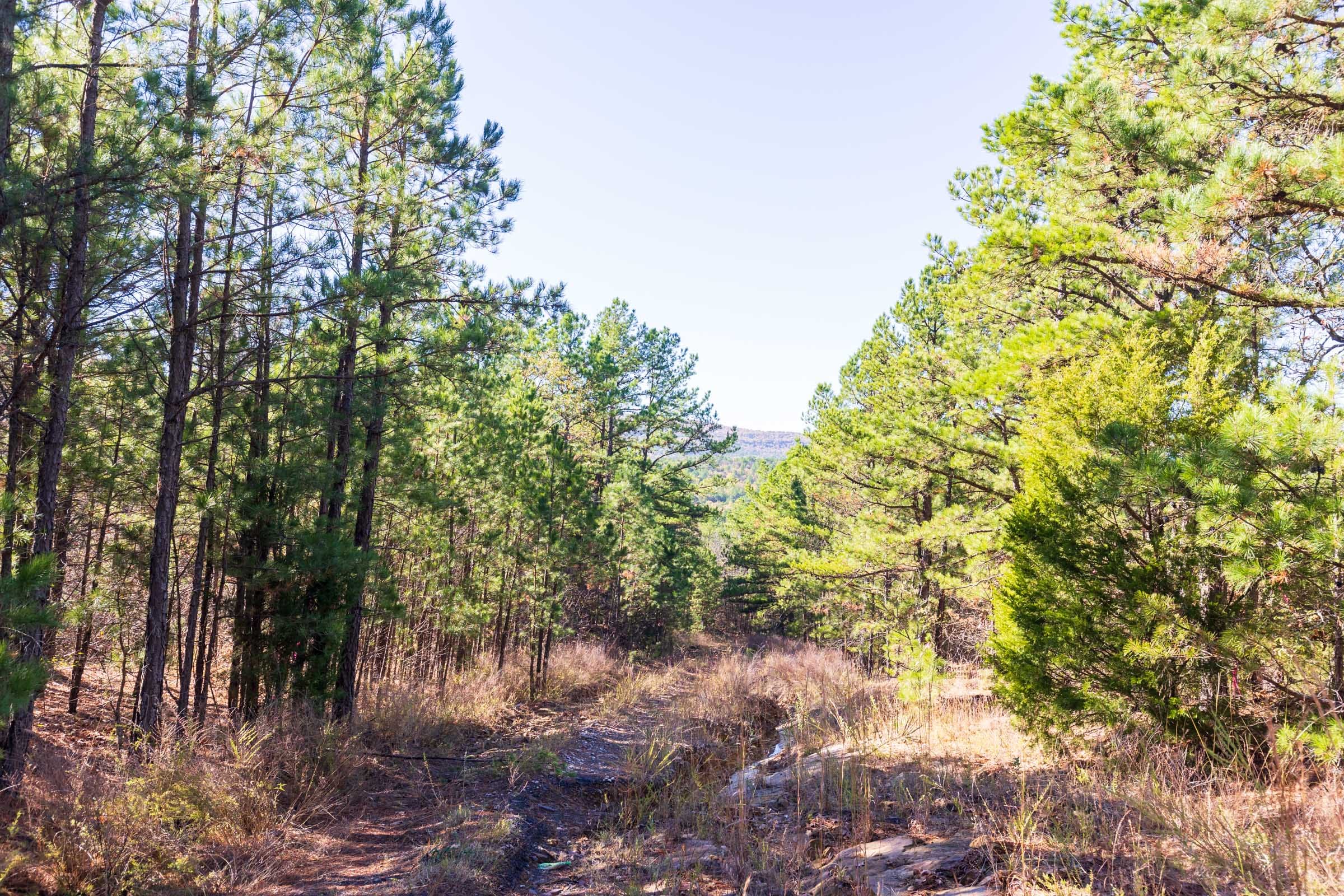 Stone Bridge Reserve Tract 4 photo 6