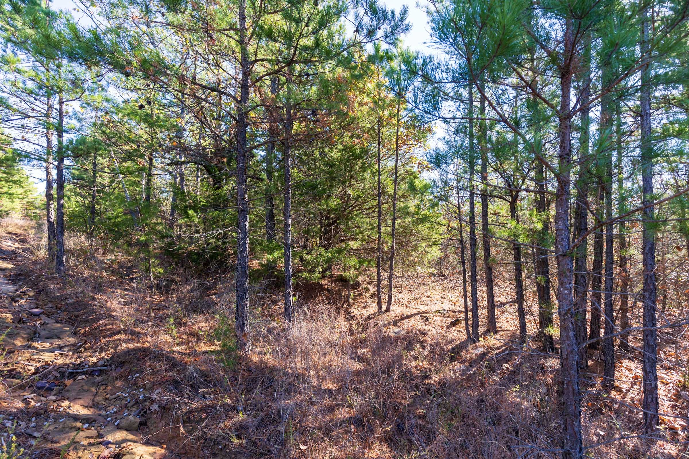 Stone Bridge Reserve Tract 4 photo 3