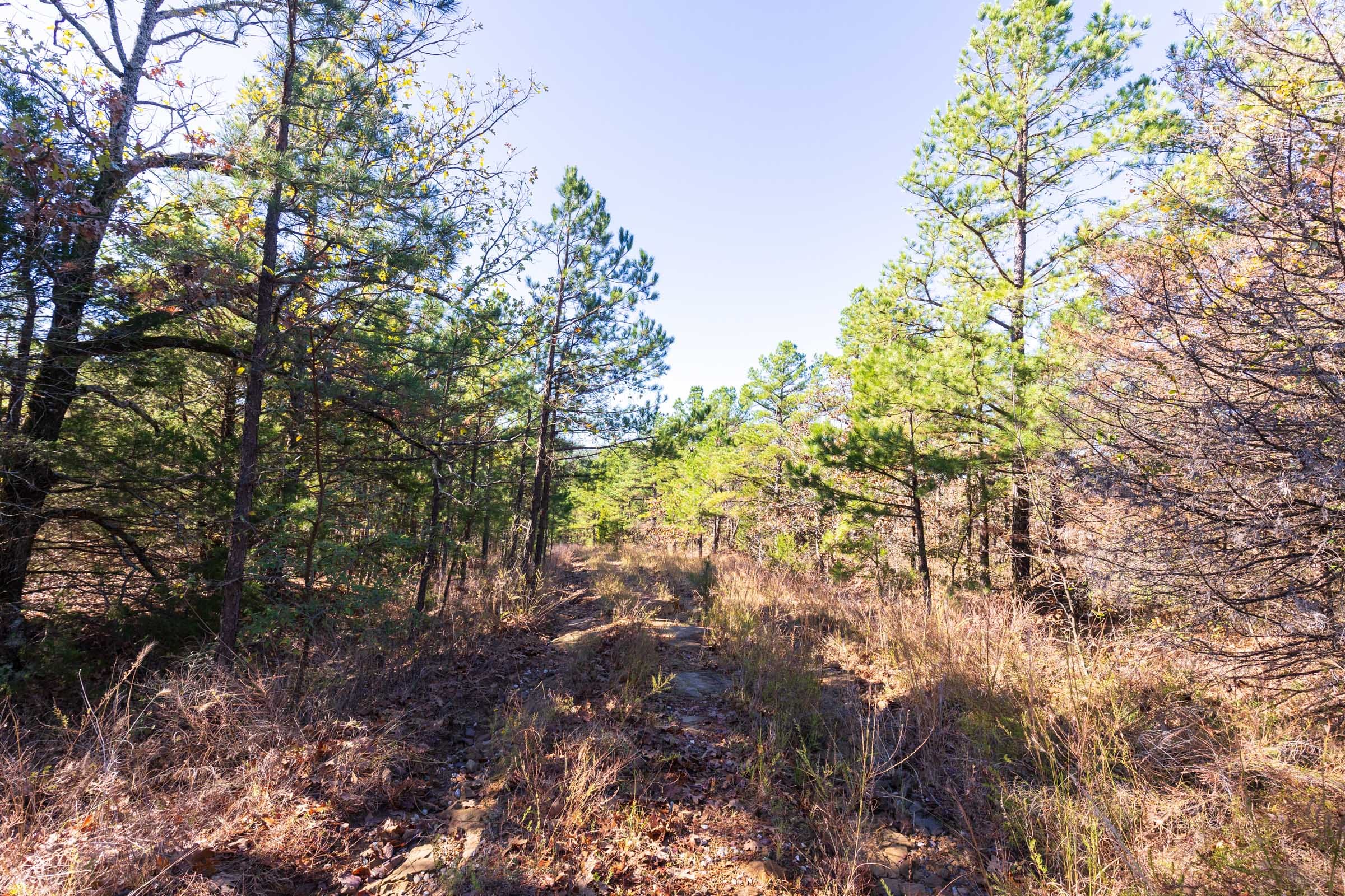 Stone Bridge Reserve Tract 4 photo 4