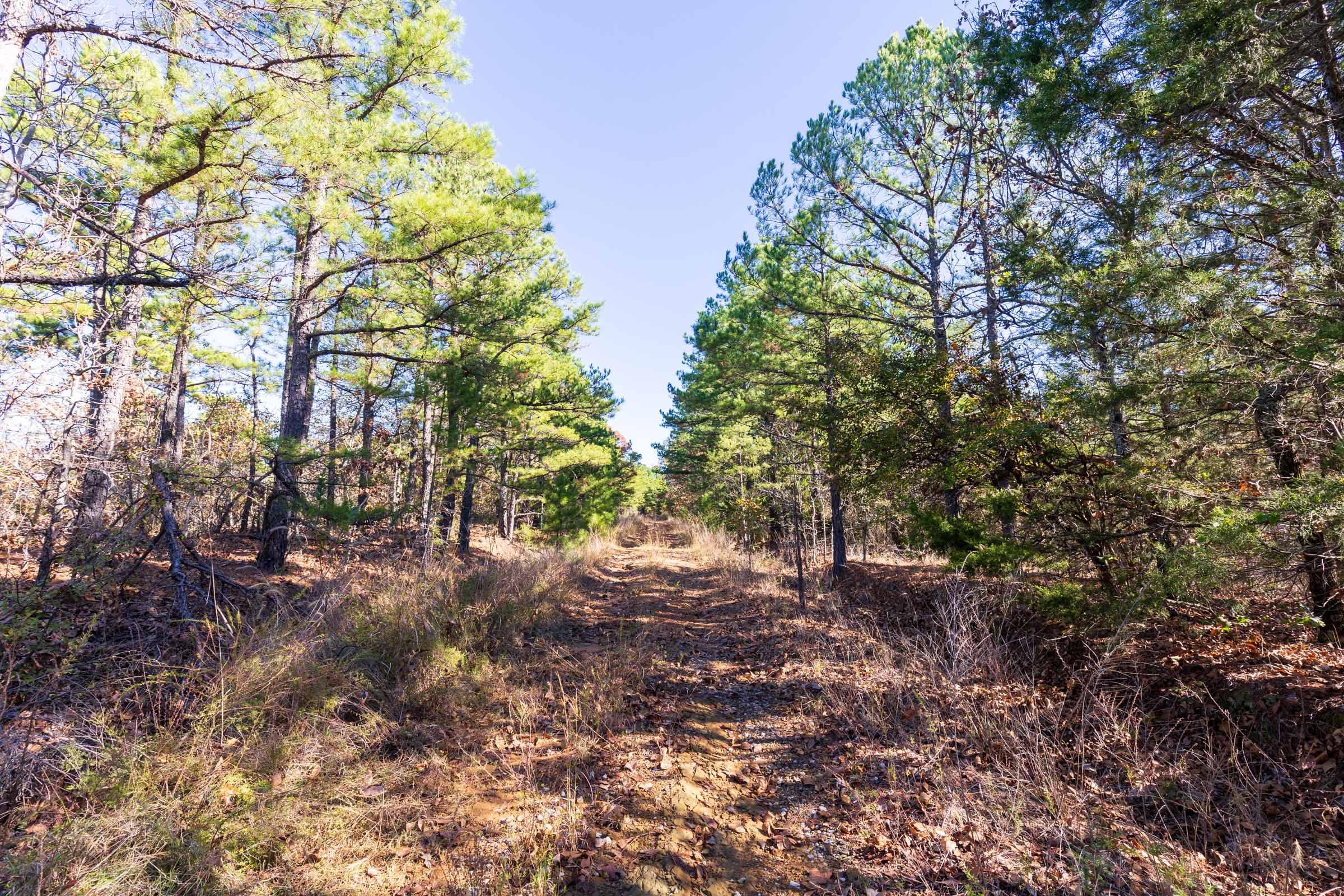 Stone Bridge Reserve Tract 4 photo 1