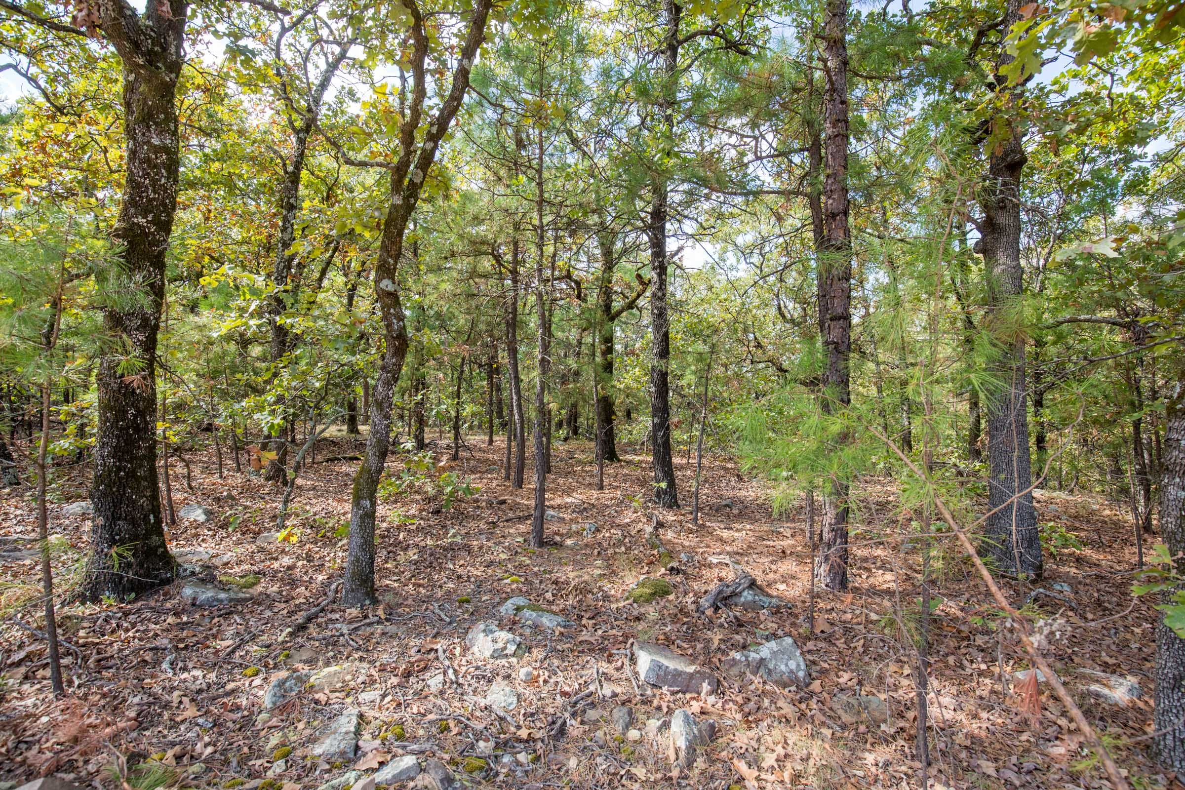 Stone Bridge Phase I Tract 34 photo 7