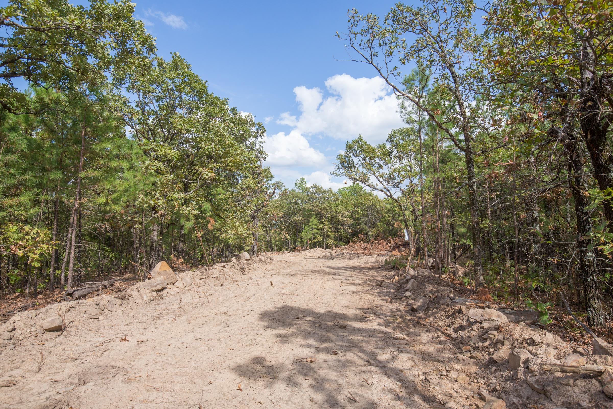 Stone Bridge Phase I Tract 34 photo 9
