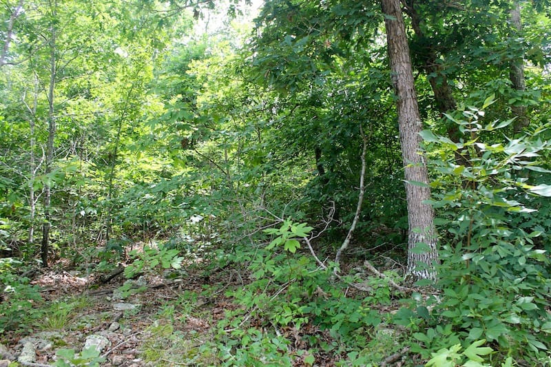 Green Mountain Ranch Tract 47 photo 8