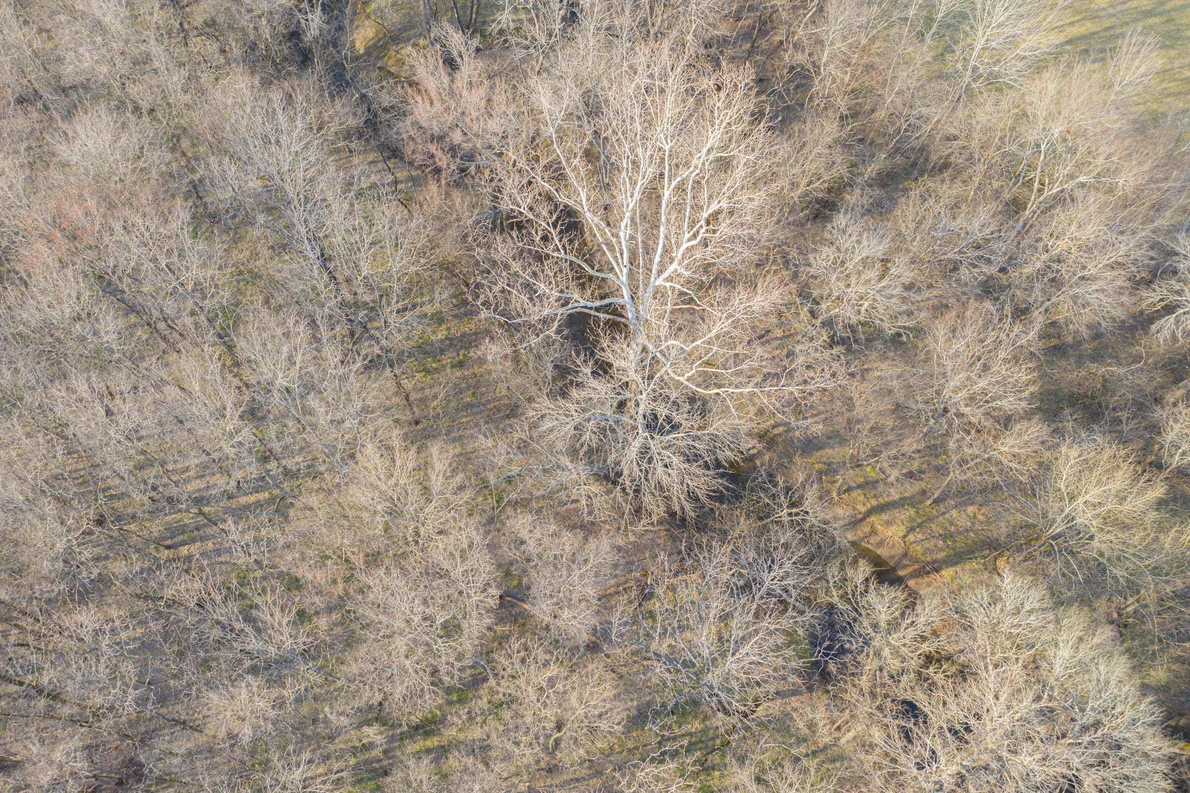 Wishing Star Ranch Tract 92 photo 2