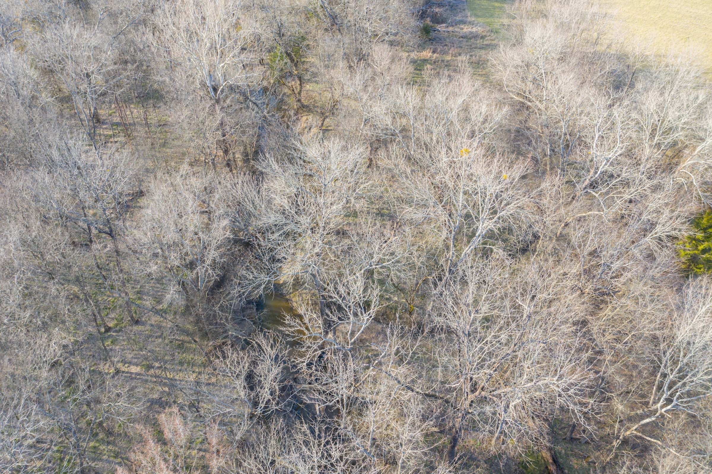 Wishing Star Ranch Tract 92 photo 3