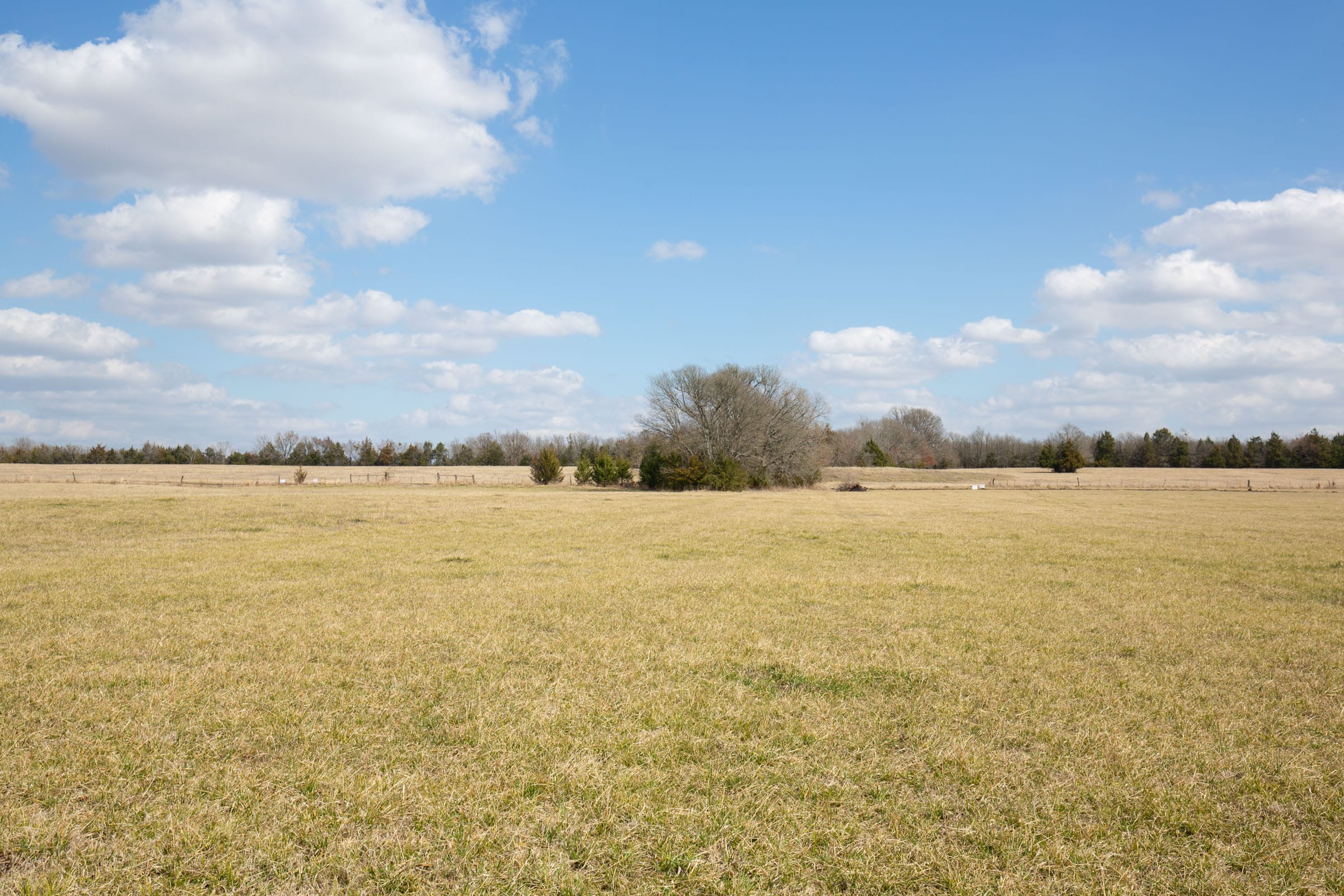 Wishing Star Ranch Tract 92 photo 6