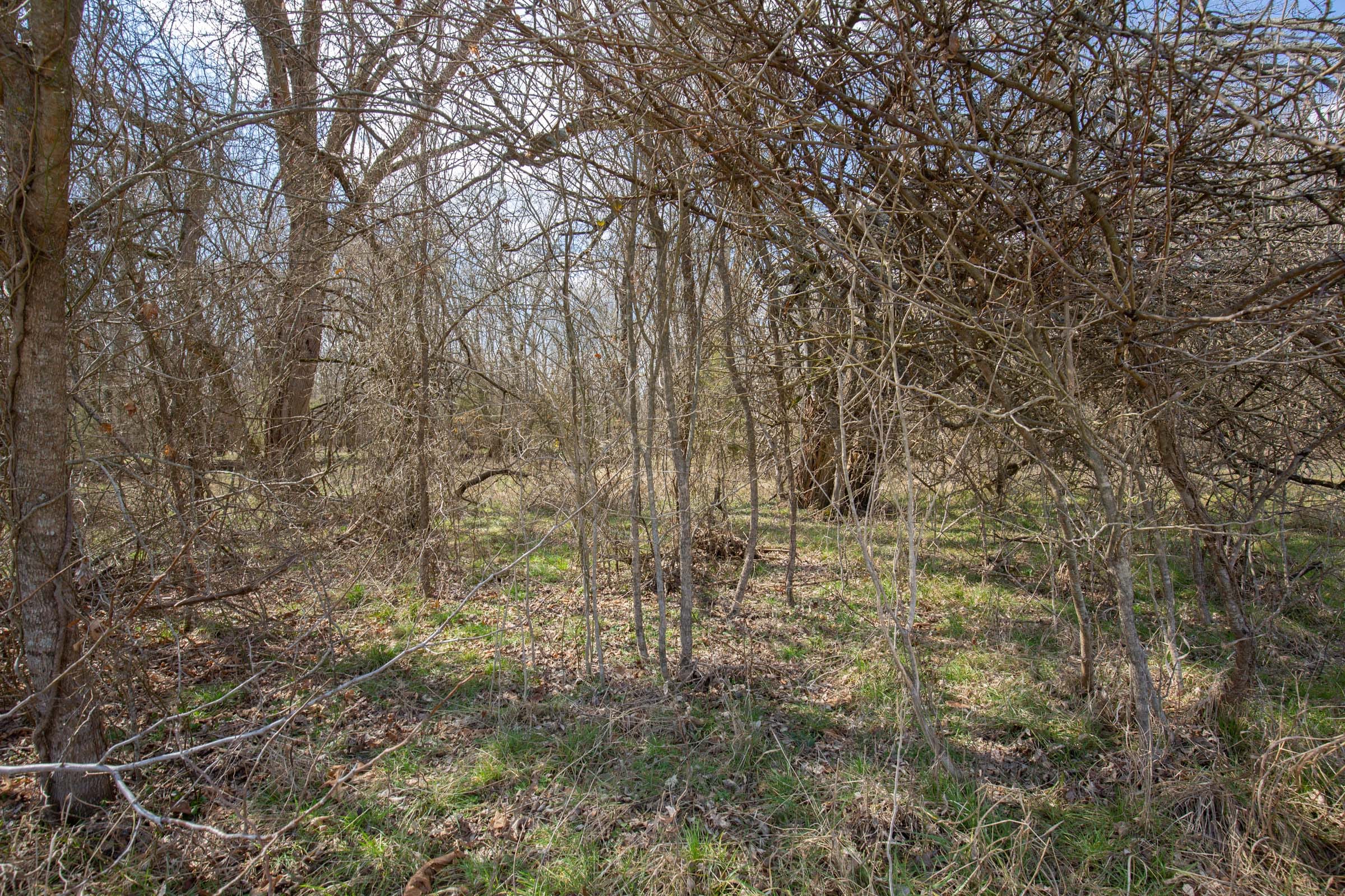 Wishing Star Ranch Tract 92 photo 7