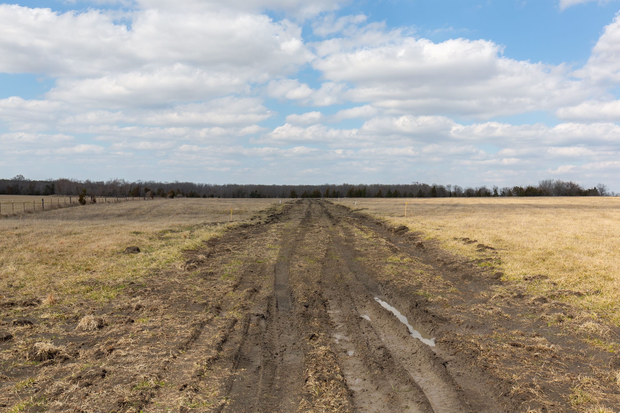Wishing Star Ranch Tract 92 photo 9