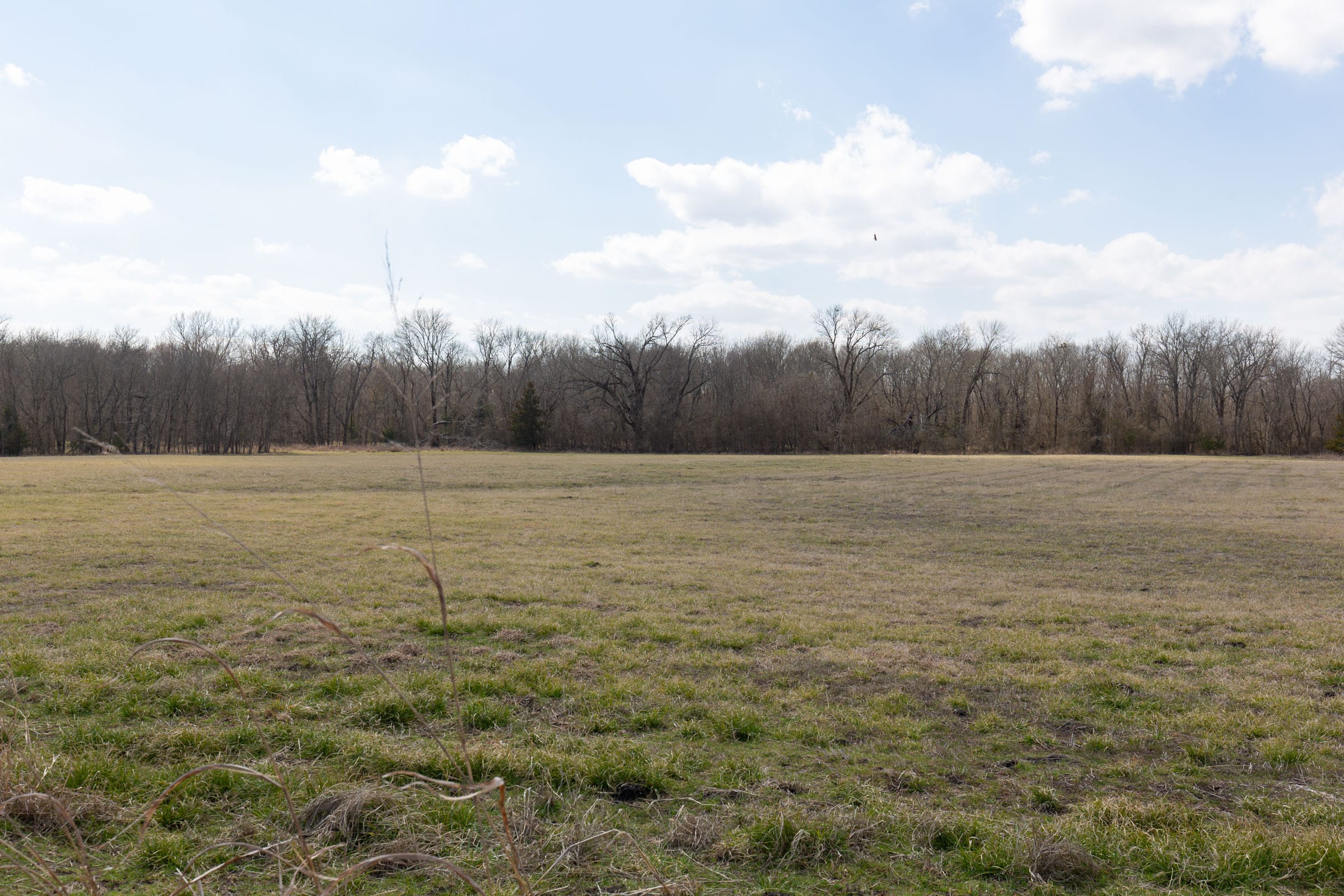 Wishing Star Ranch Tract 92 photo 11