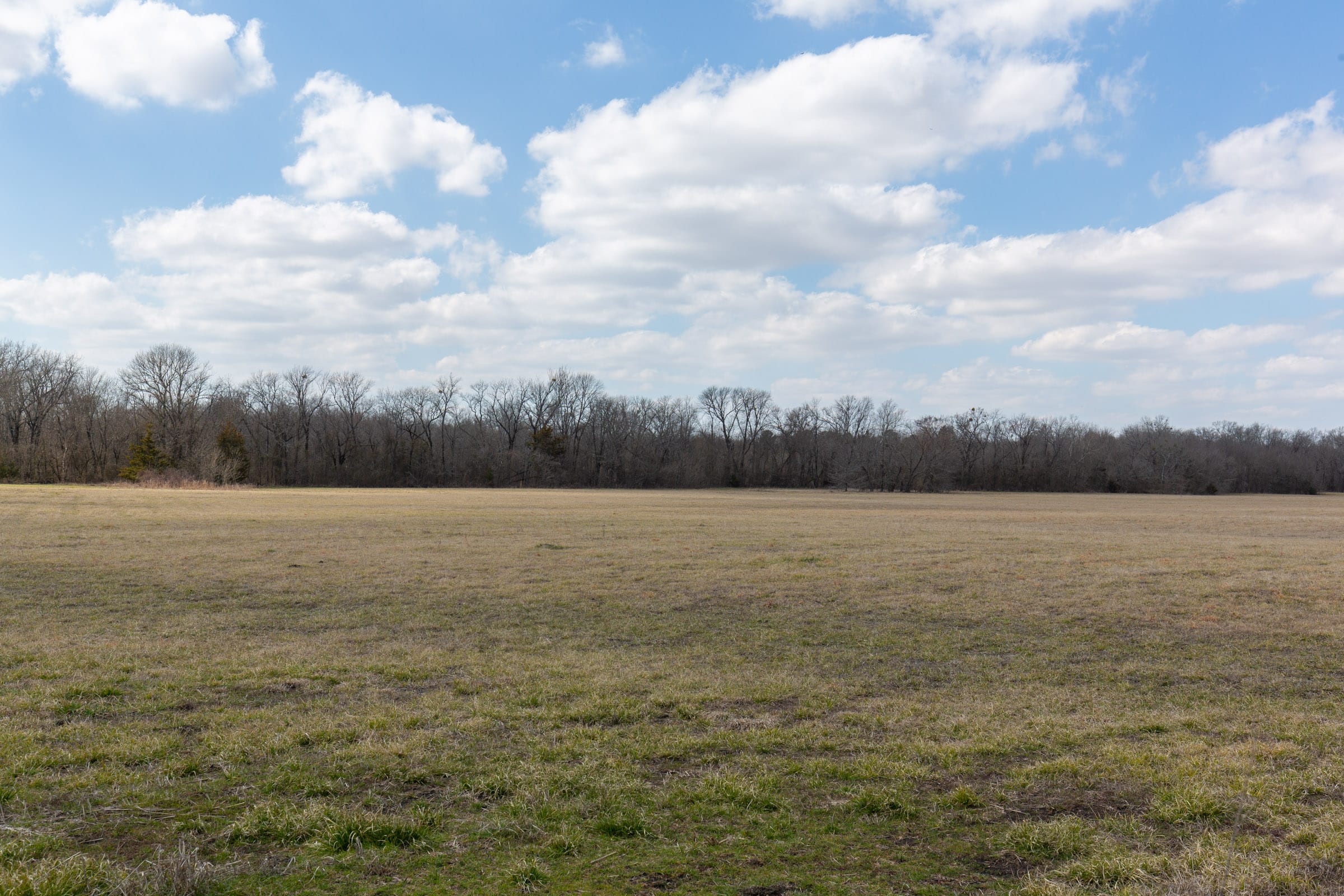 Wishing Star Ranch Tract 92 photo 12