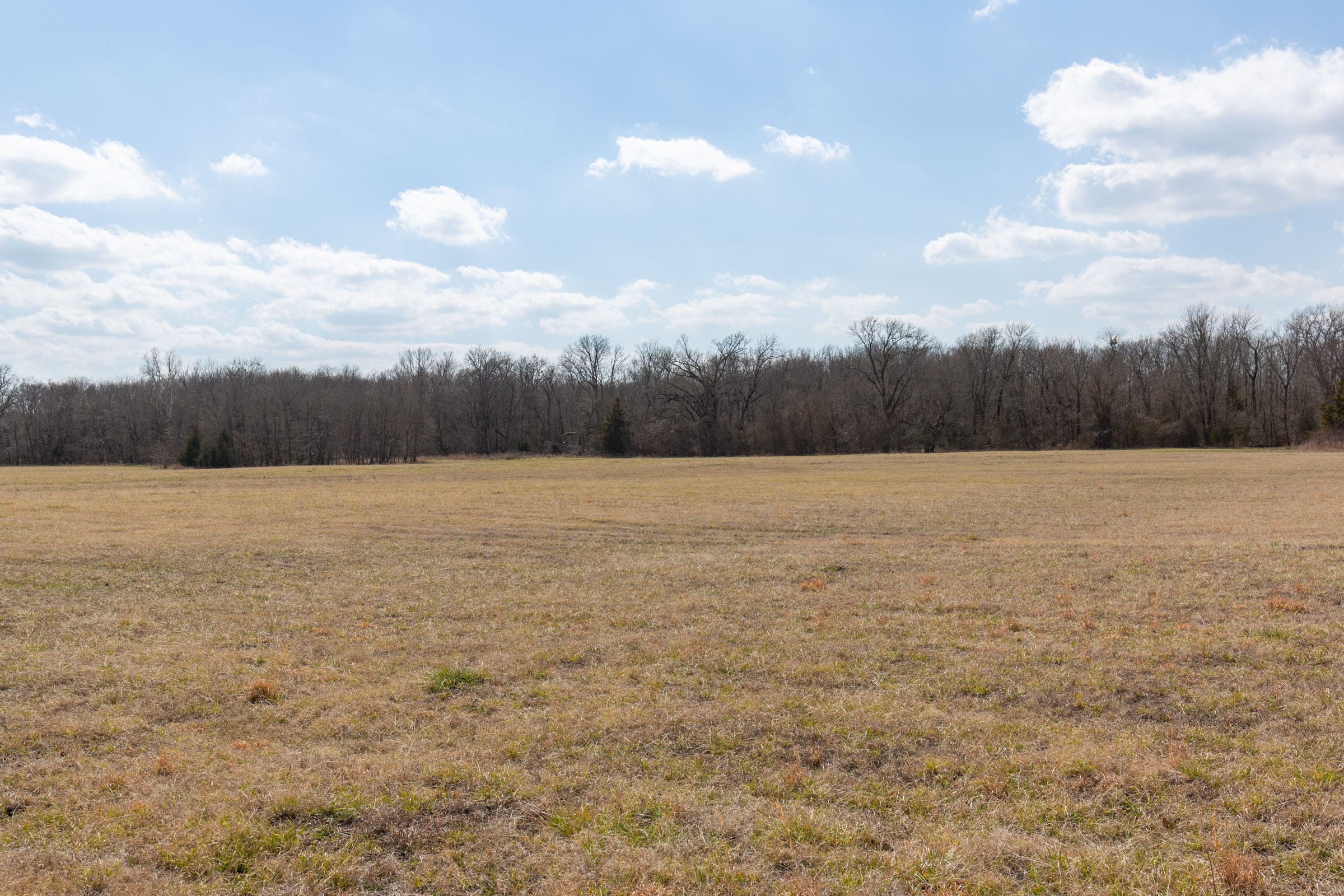Wishing Star Ranch Tract 92 photo 13