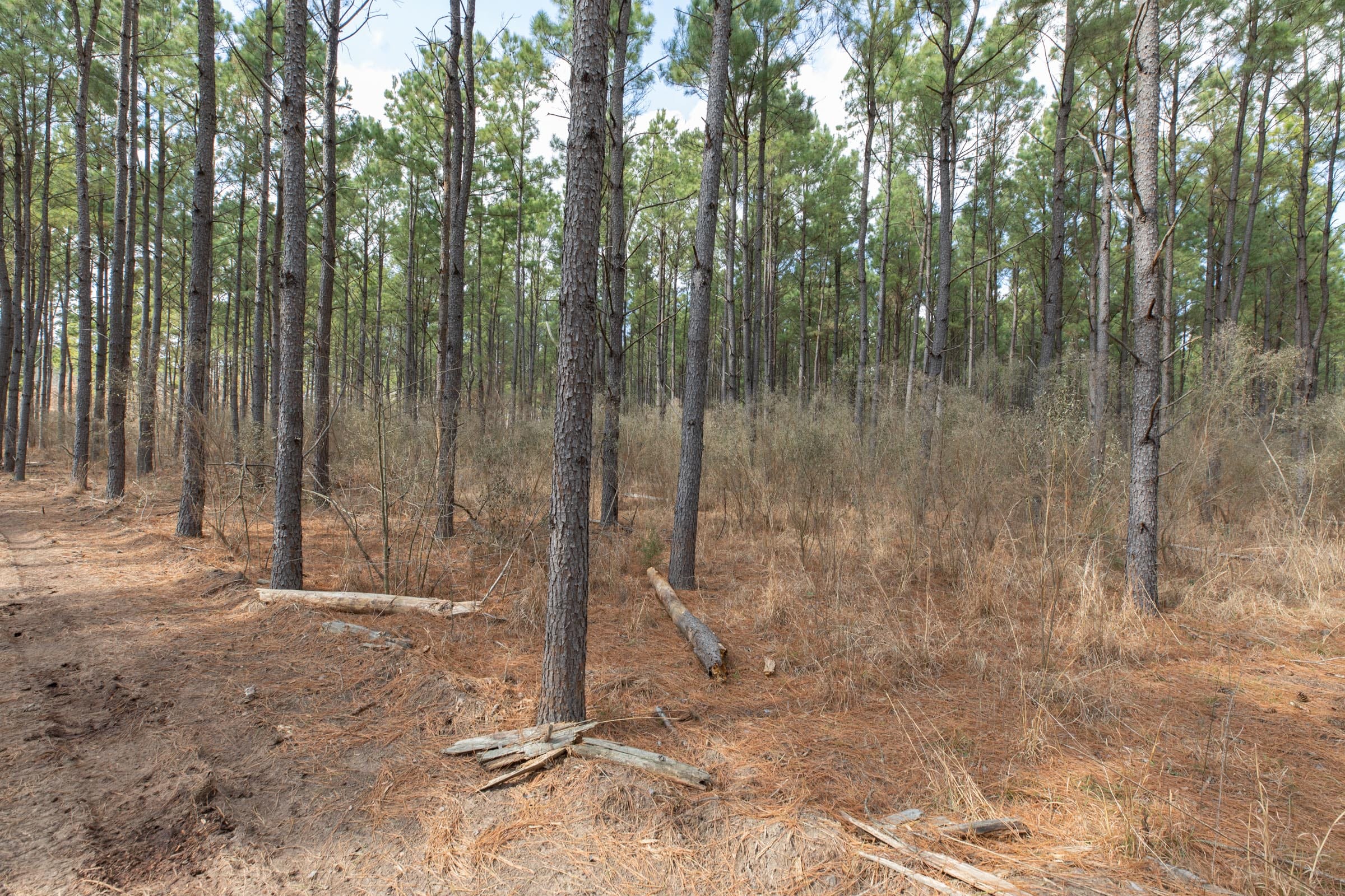 Wishing Star Ranch Tract 53 photo 2